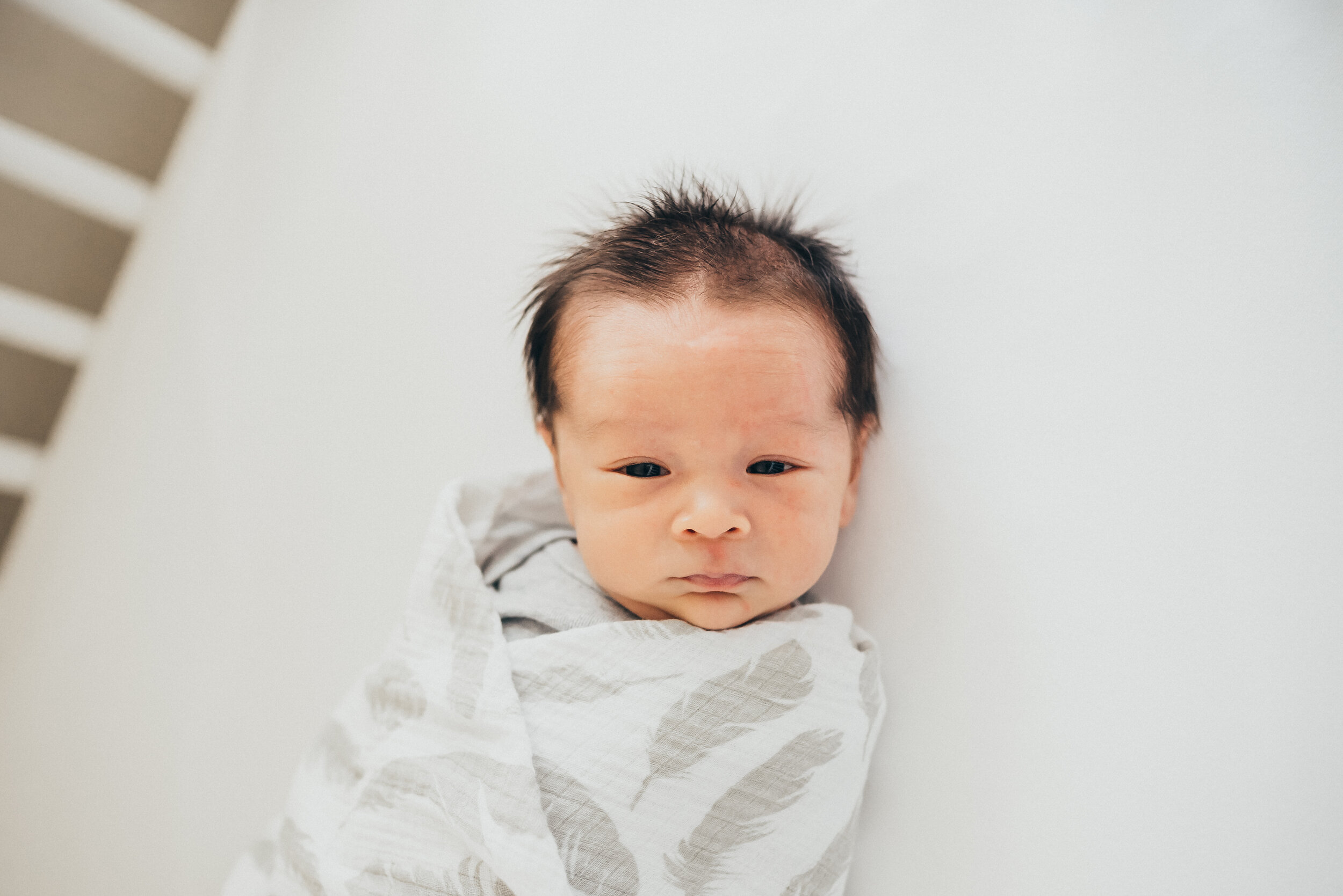 newborn-15.jpg