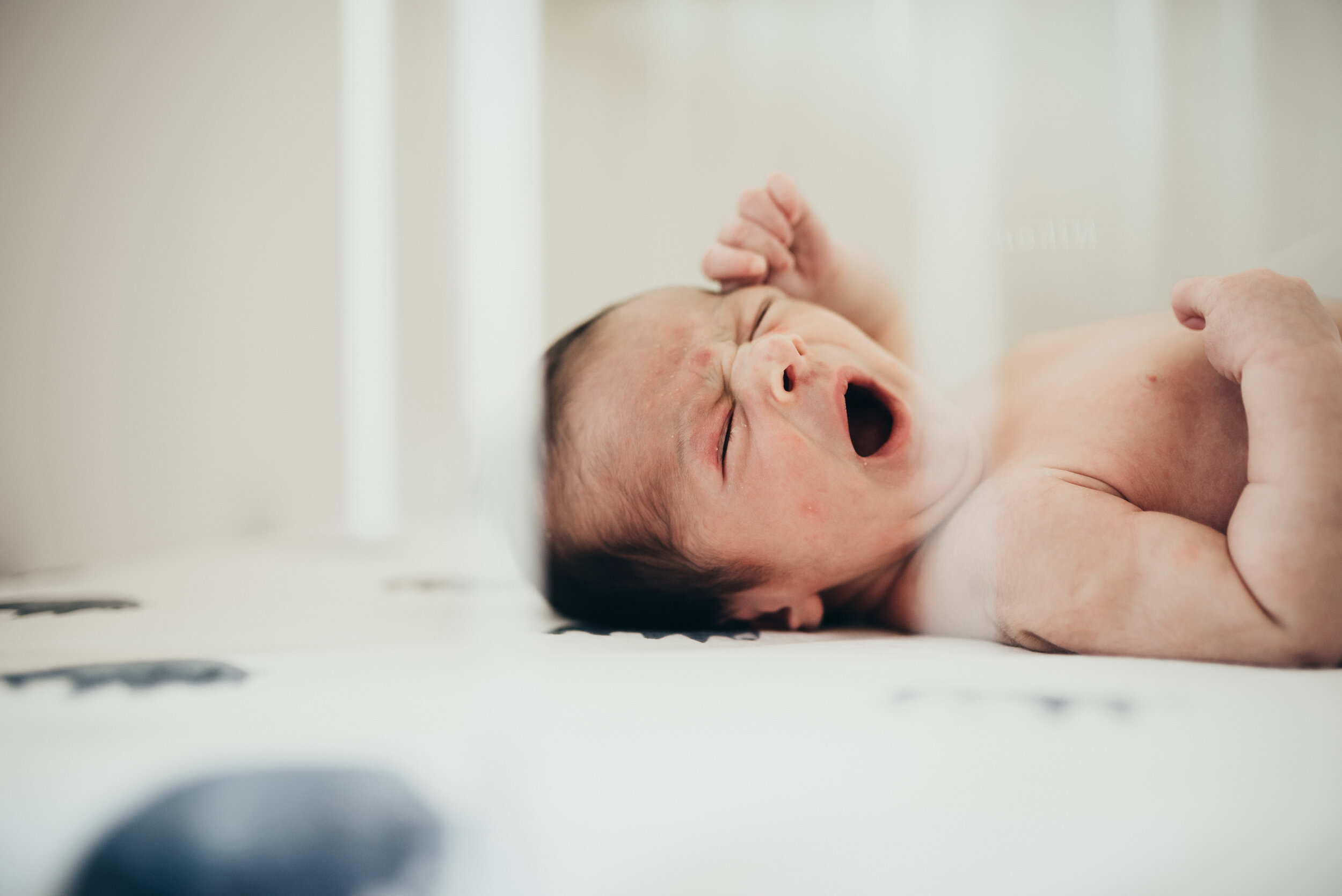 Ausitn newborn photographer-5.jpg