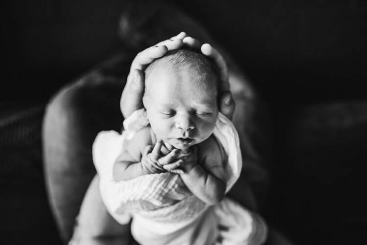 newborn-photographers-in-austin.jpeg