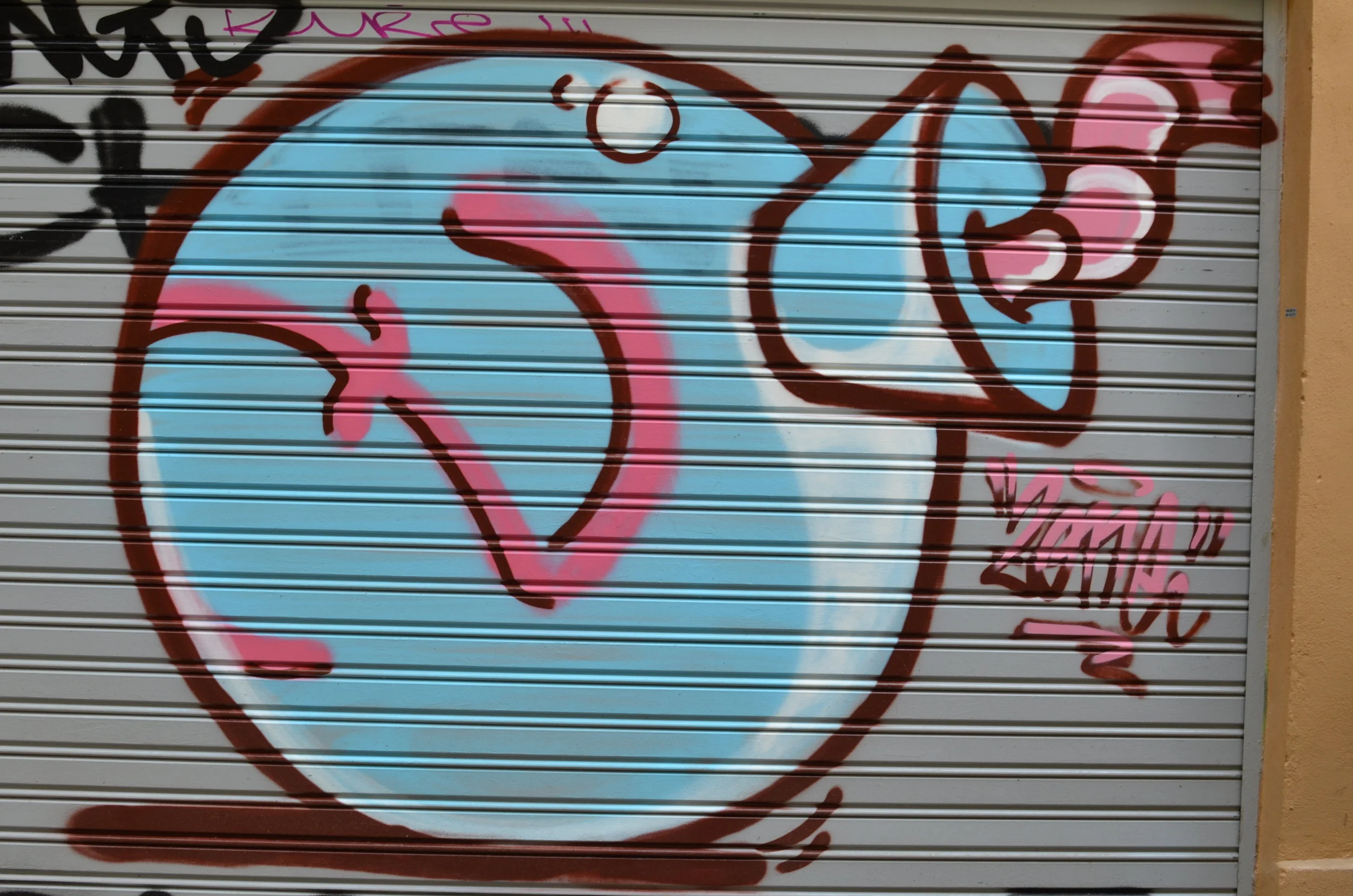 DSC_8518.JPG
