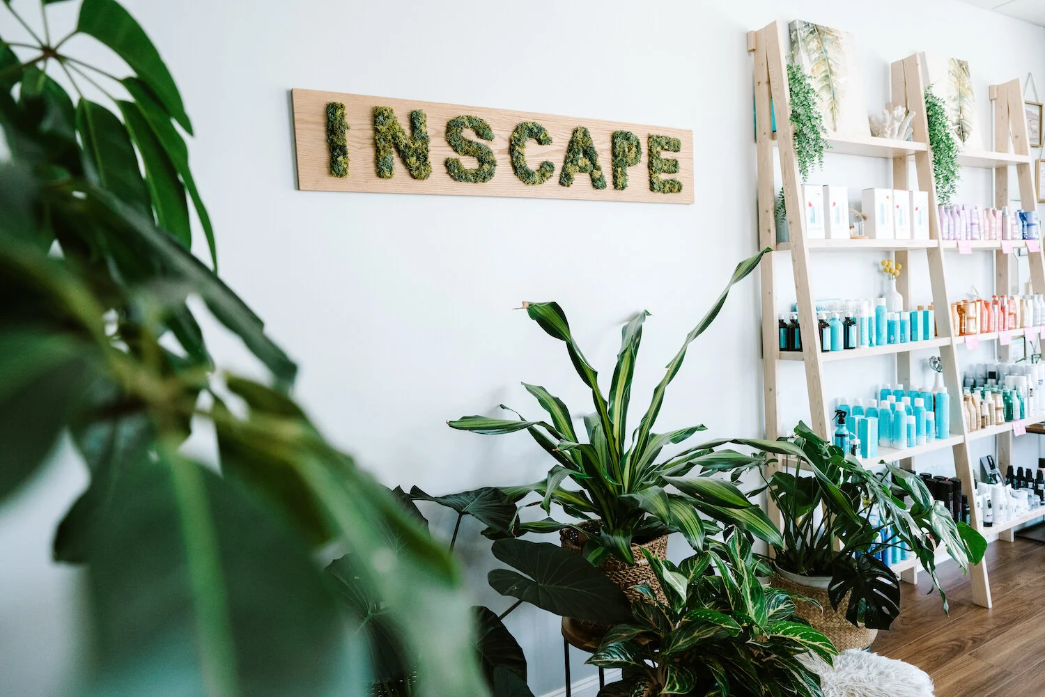 Blog — Inscape Beauty Salon