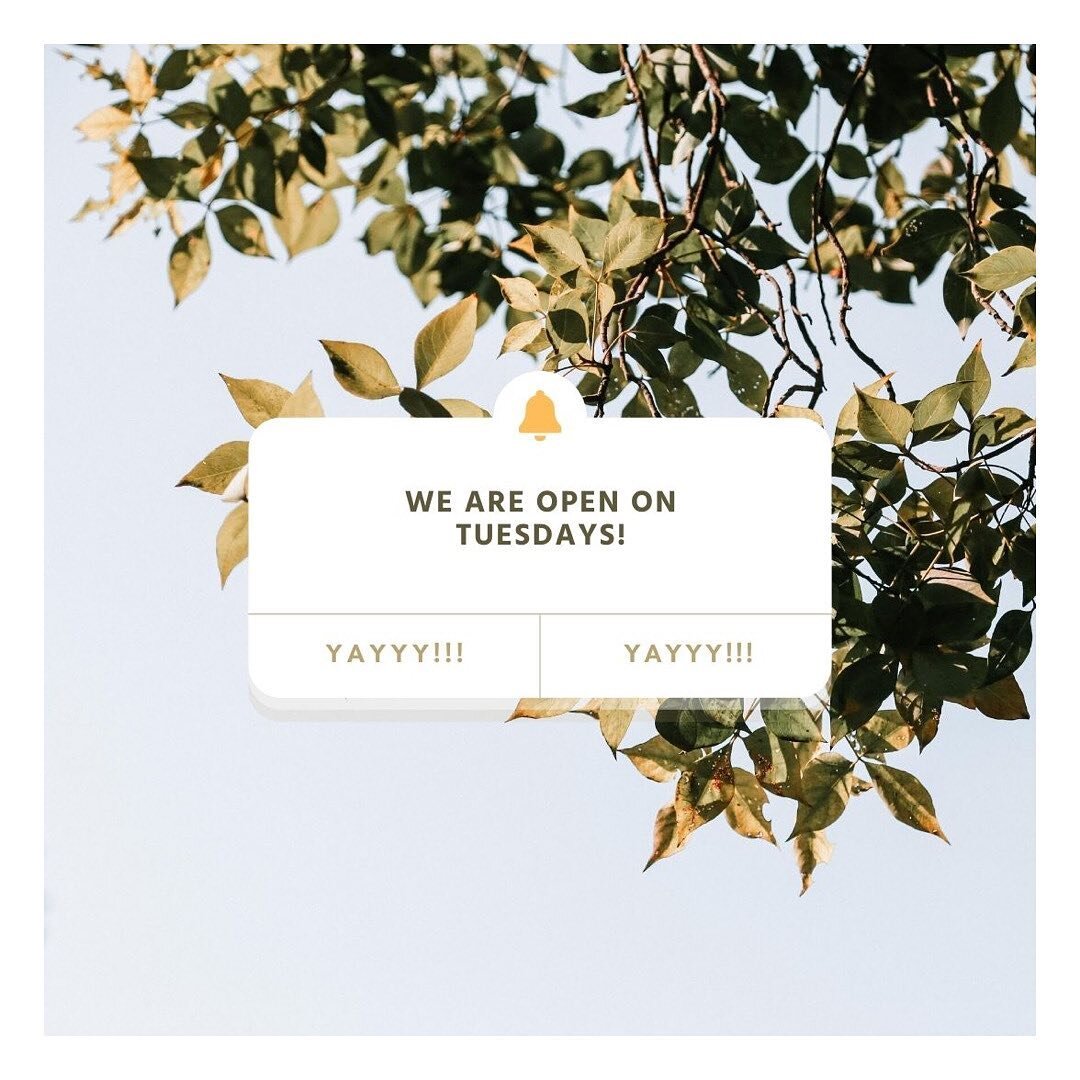 🥳 It&rsquo;s official, we have reopened Tuesdays and now open 7 days a week! Call us to book your holiday hair appointments before we get fully booked. ✨