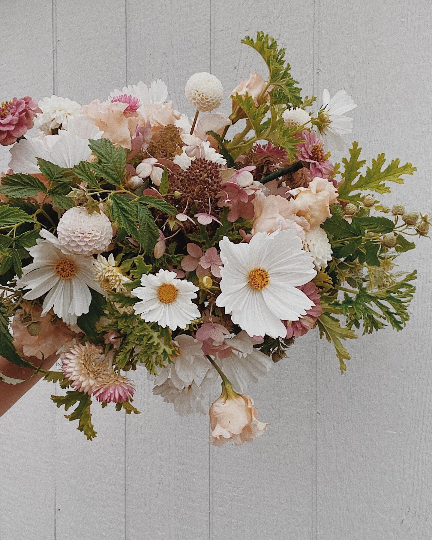 elopement bouquet inspired by the blooms from her mamas garden. 100% locally grown. 💕
.
.
.
.
.
.
.
.
.
.

#seattleflorist #floraldesign #seattlewedding #weddingflowers  #weddinginspiration #weddingwire #pnwwedding #bridalbouquet 
#seattleartist  #b