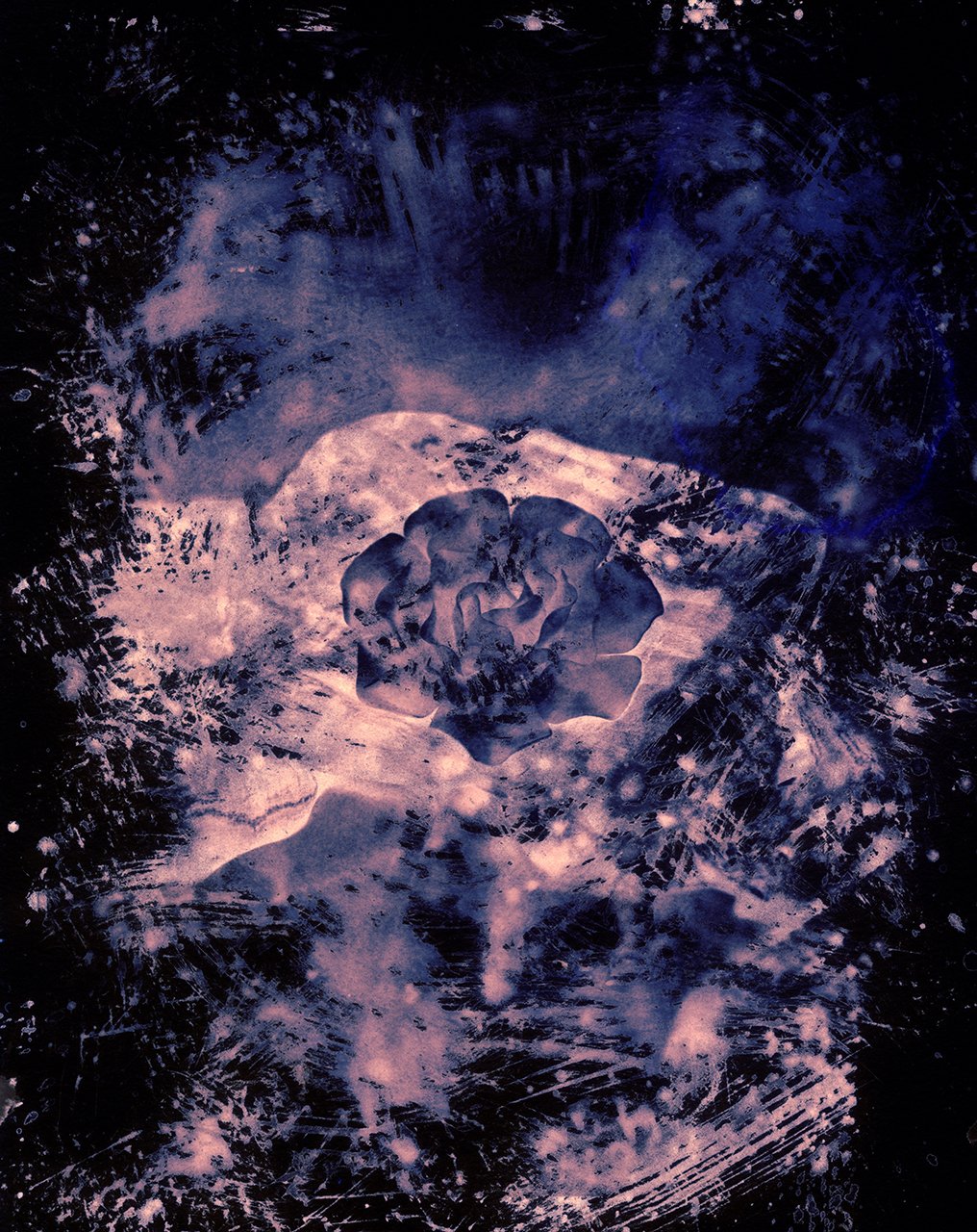 NuszH_12_PersonalProject_Term7.jpg