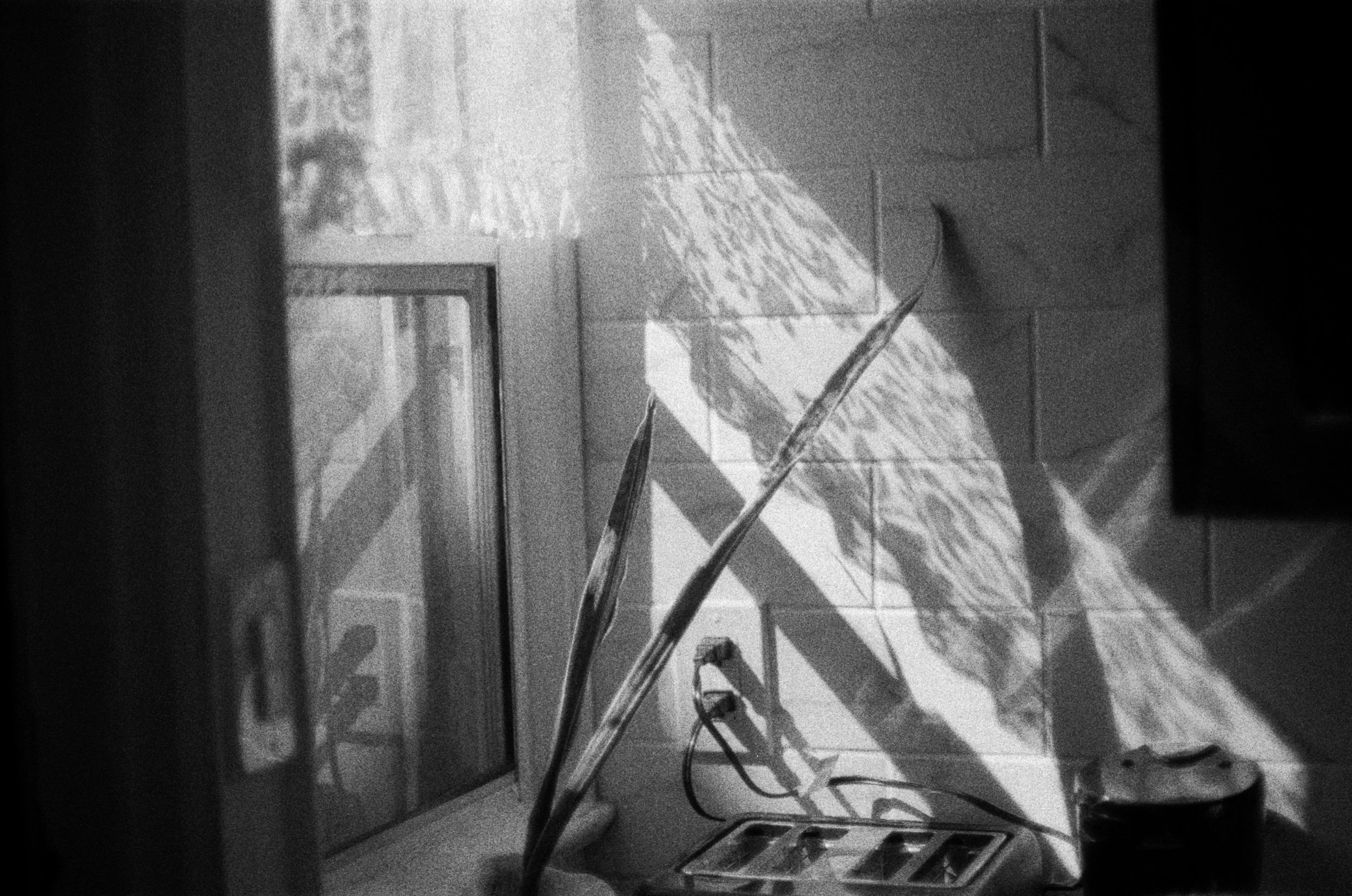 BW66428-2-0026.jpeg