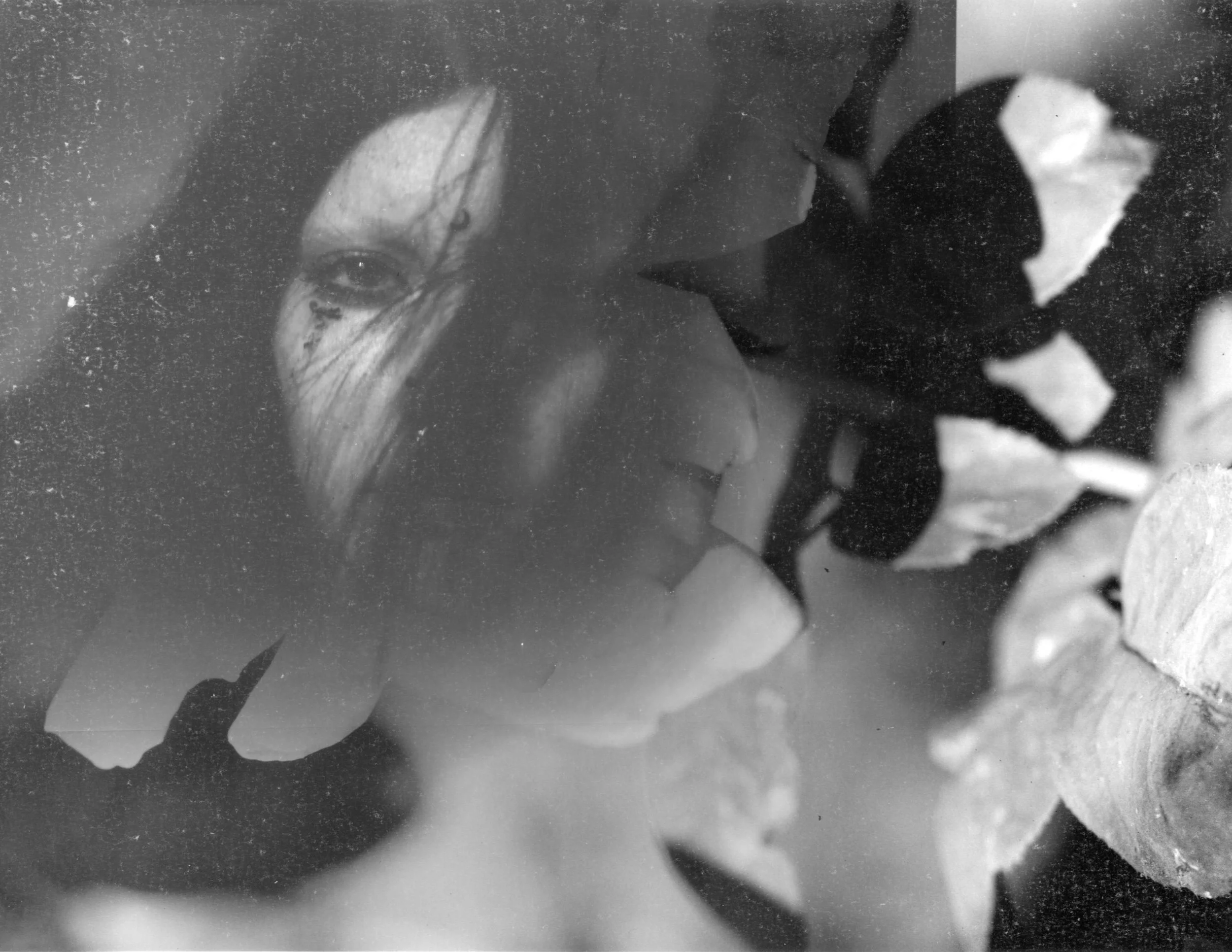 DARKROOMSCAN6:10:24.jpeg