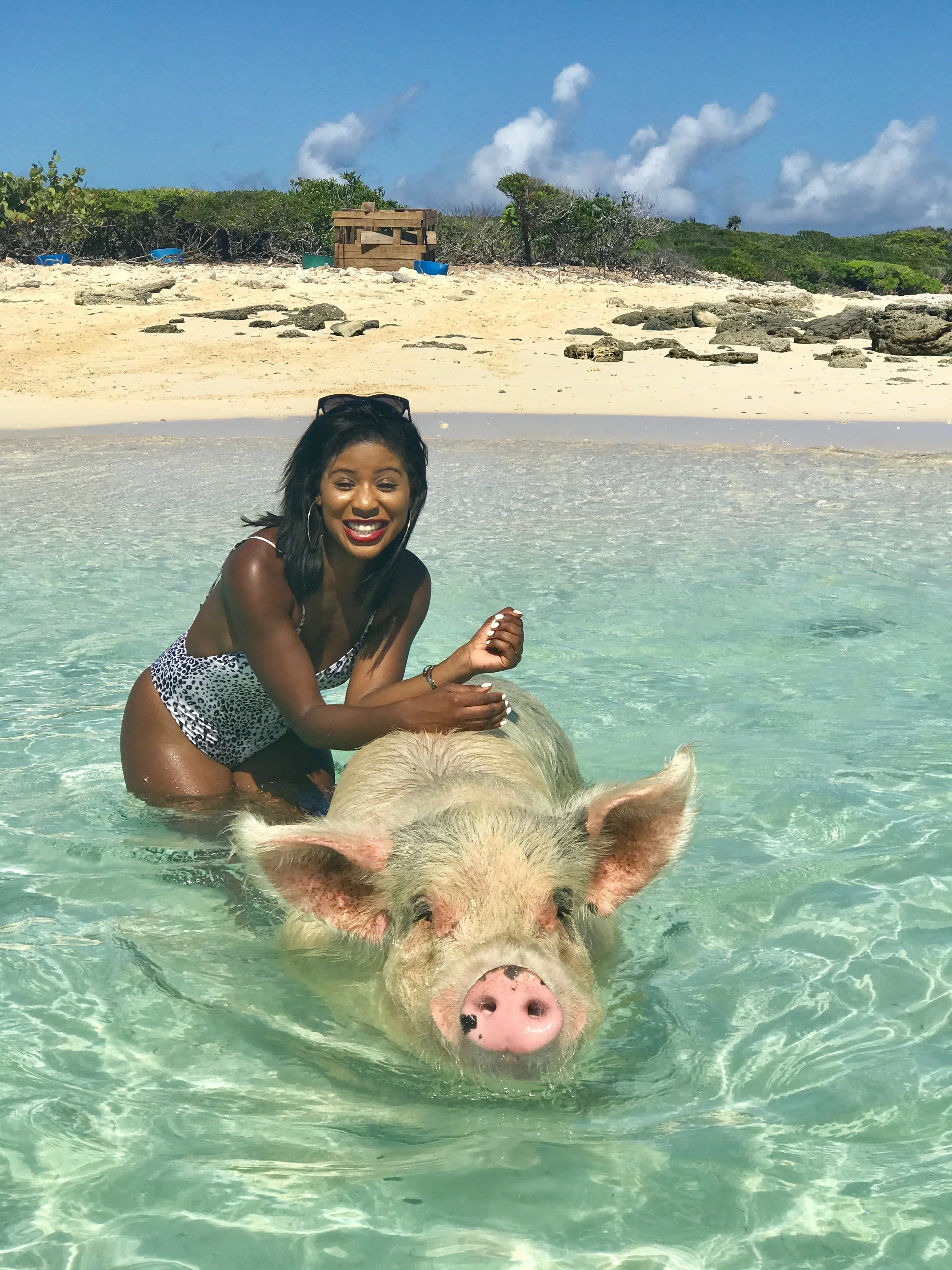 The Perfect Summer Vacation