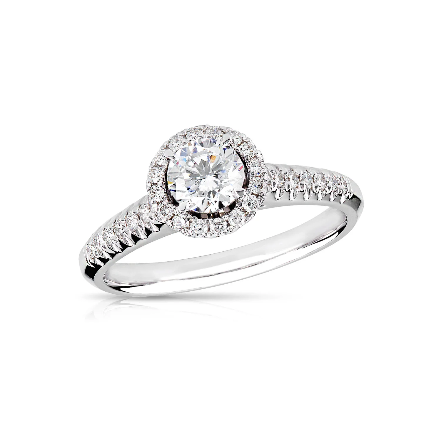 R31-144655 Butterfly Sapphire & Diamond Ring Mount