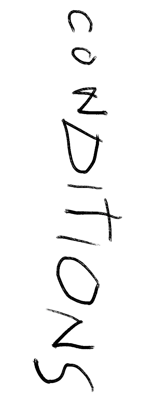 conditions.jpg