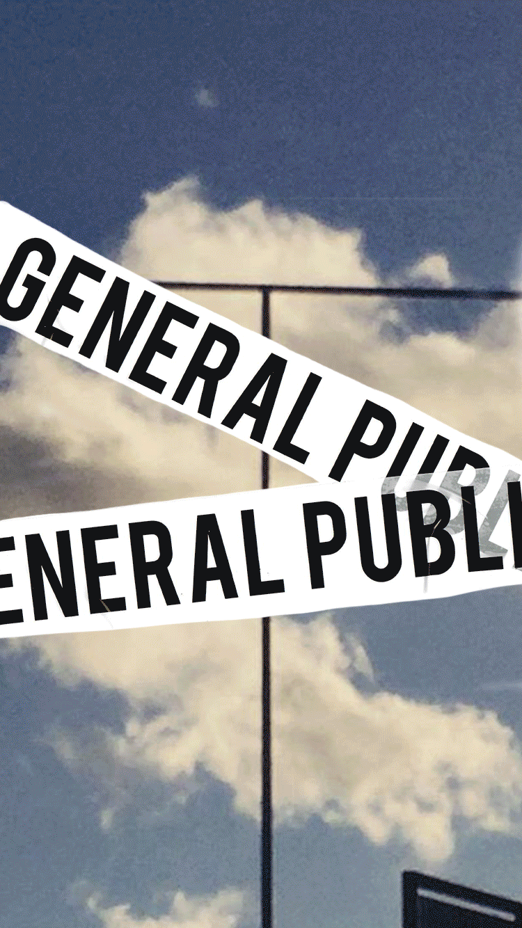 GeneralPublic3.gif
