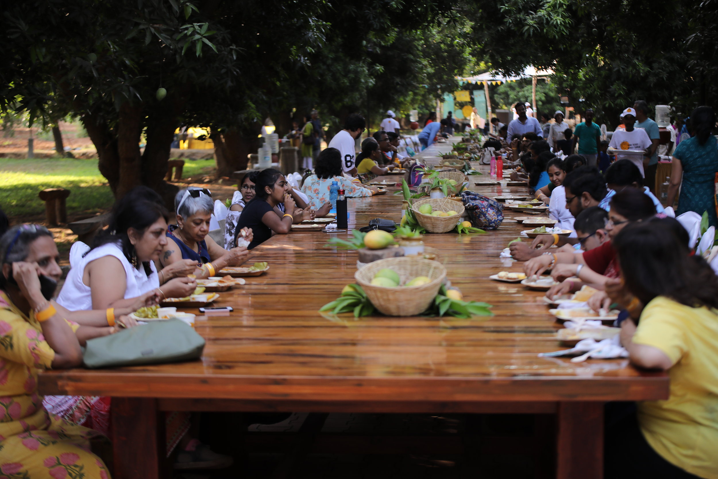 The Great Mango Festival | Hanu Reddy Mango Tourism