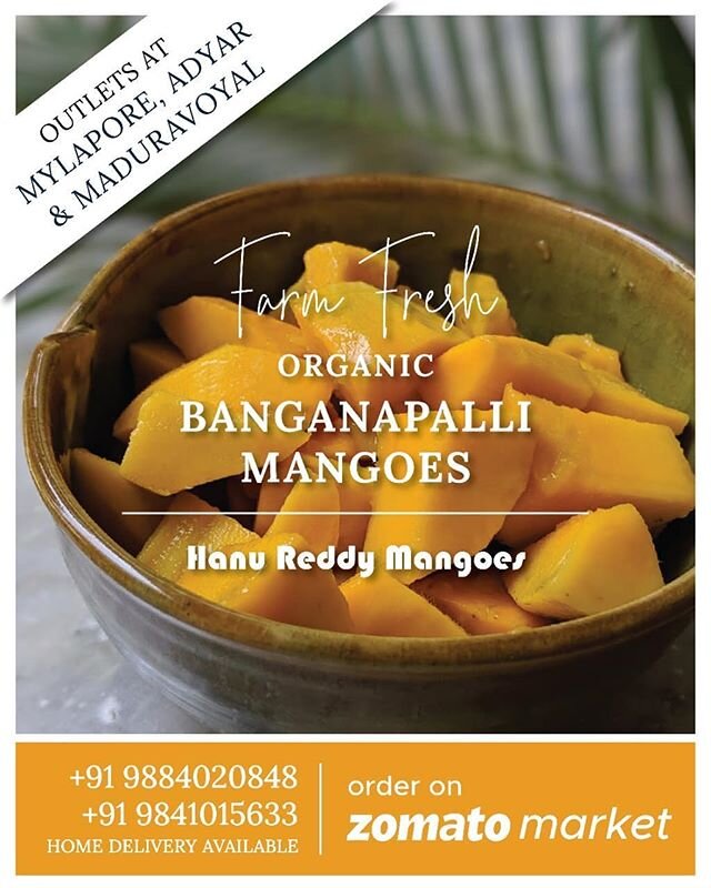 The Great Mango Festival | Hanu Reddy Mango Tourism