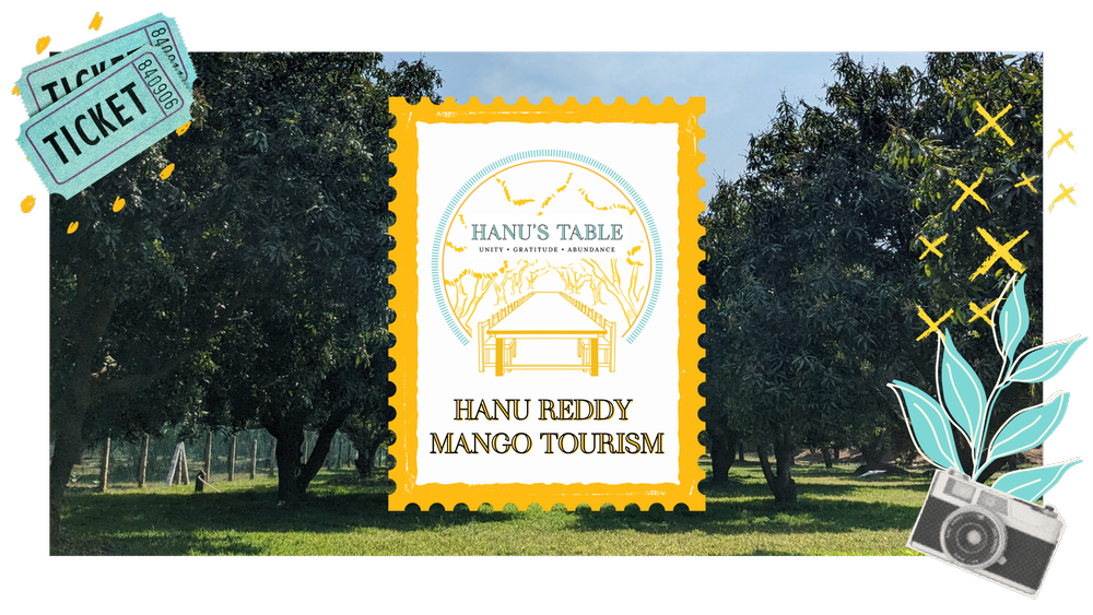 The Great Mango Festival | Hanu Reddy Mango Tourism