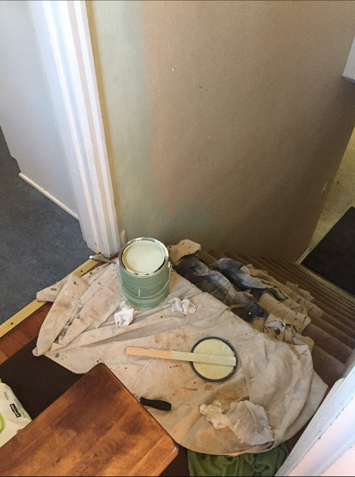 A client wanted to make her home feel more energized and organic, so chose a light sage for the walls.