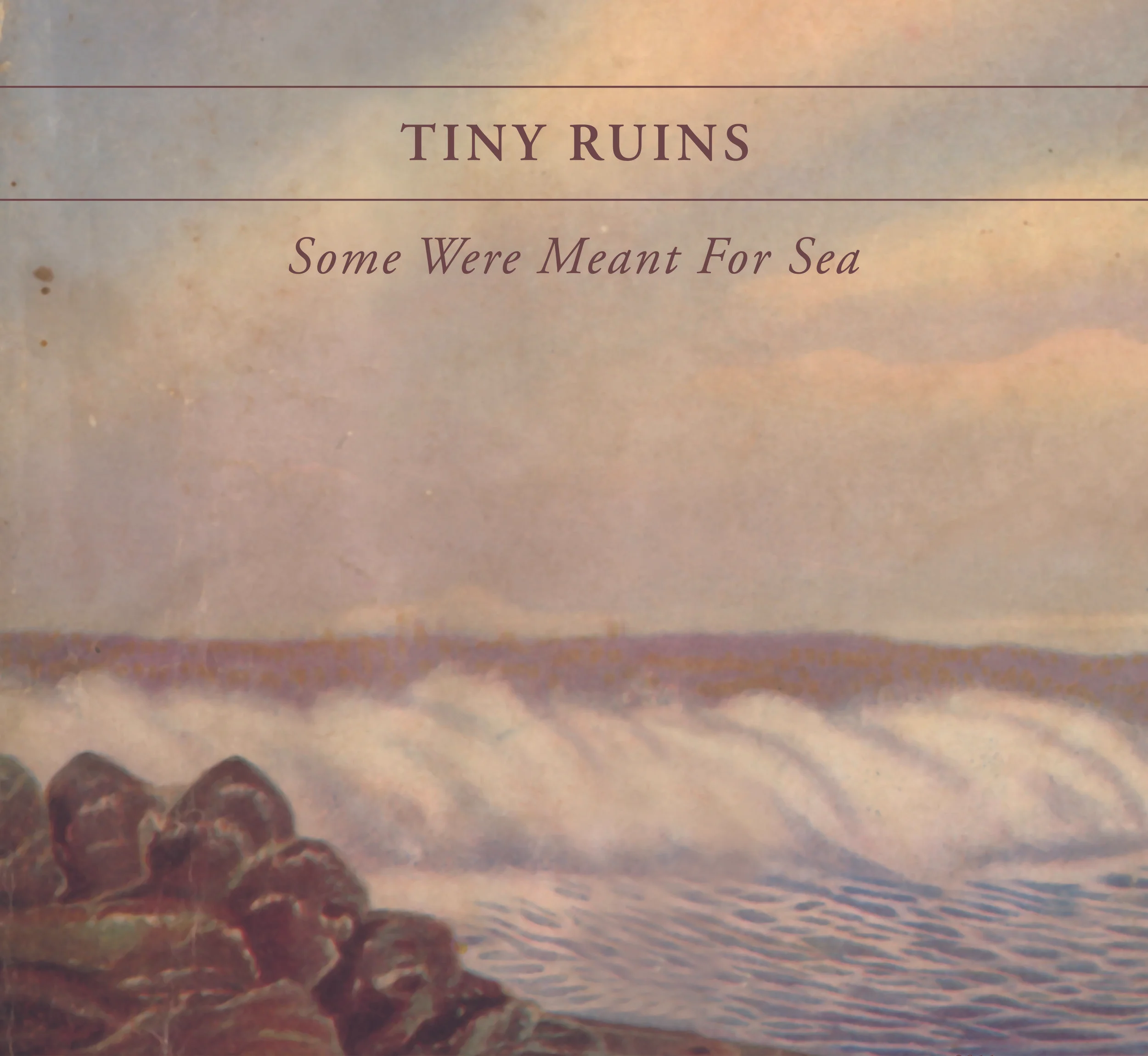 Tiny Ruins_packshot large.jpg