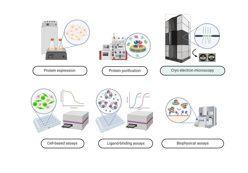 Autzen Lab Methods utilized in the Autzen Lab — Autzen Group