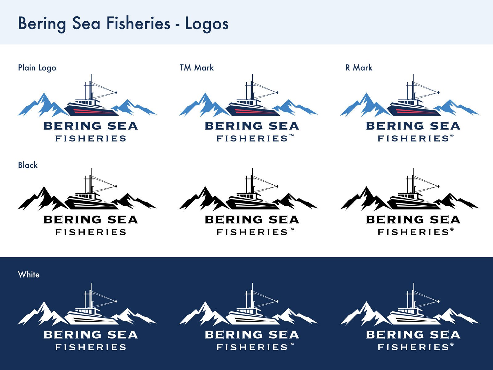 Web-Images_BSF-Logos-3.jpg