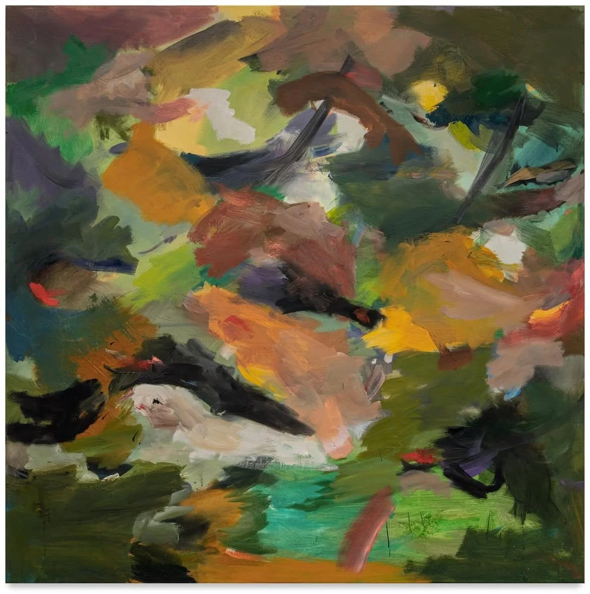 Not Your Ordinary Tale