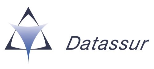 Datassur+logo.jpg