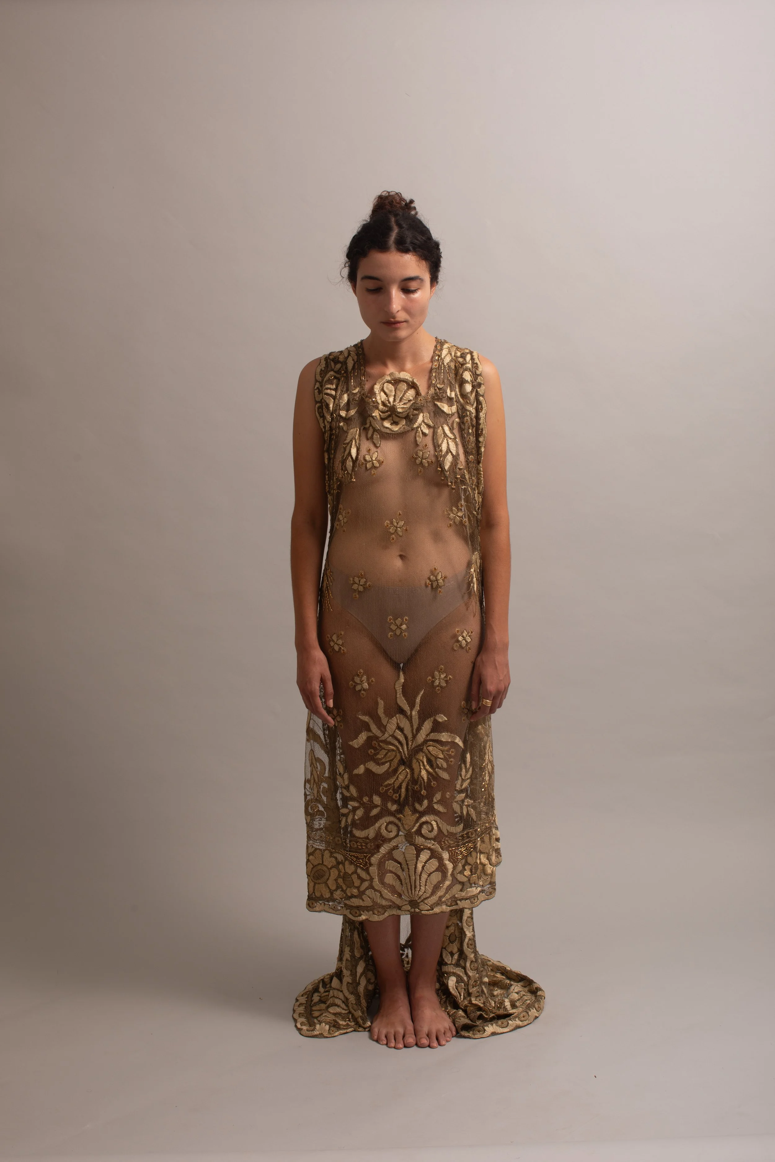 1910 Lame Net Embroidered Gown