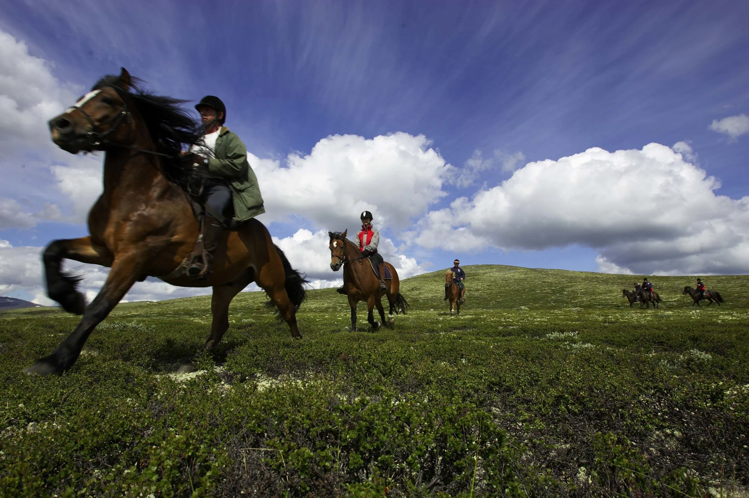 Foto: Hjerkinn Fjellstue