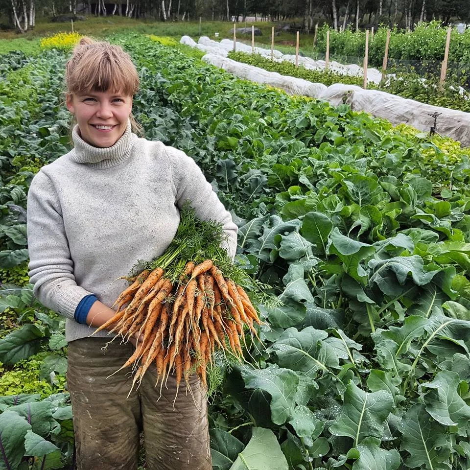 Foto: Avdem Gardsgrønt
