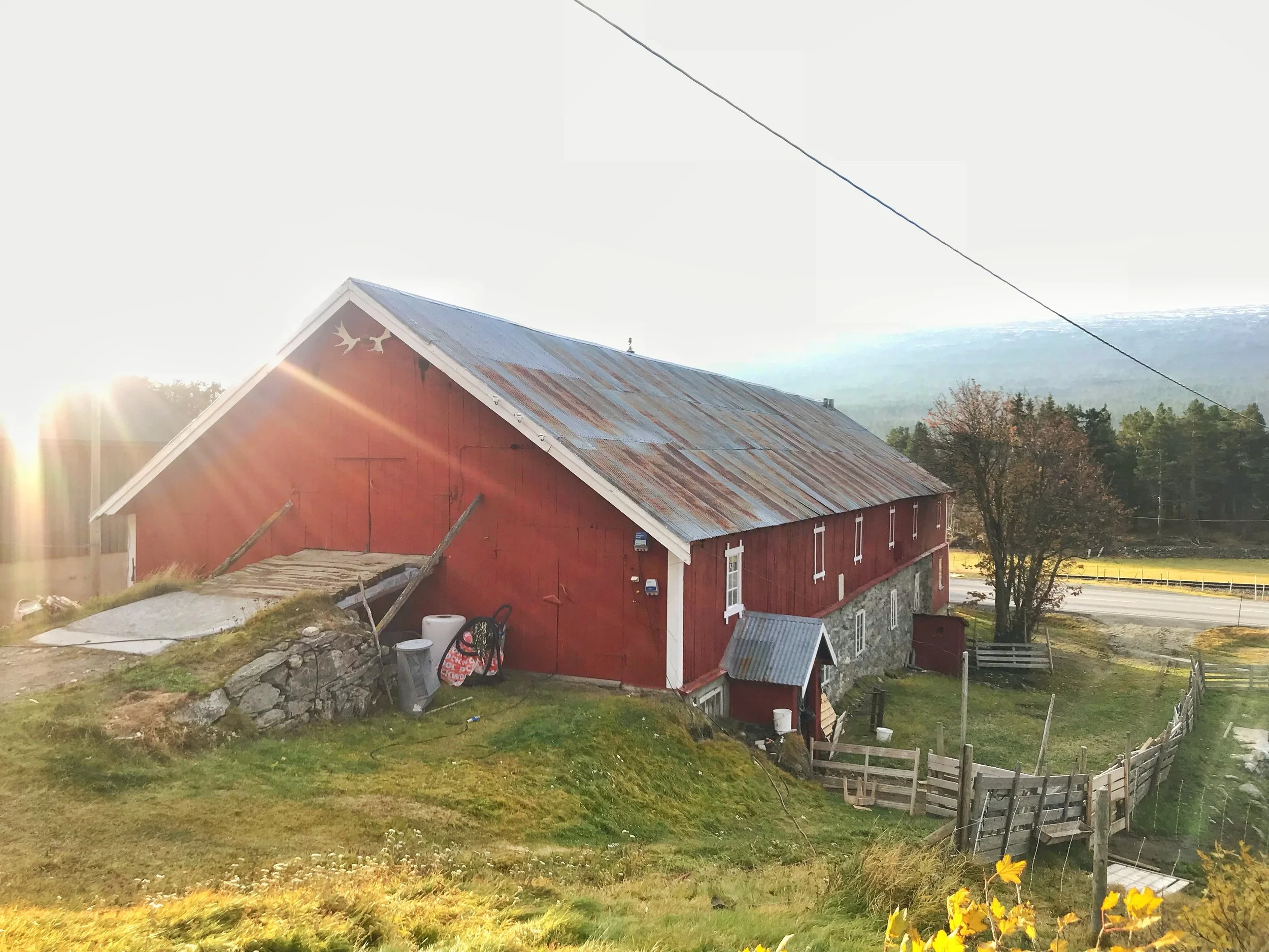 Fjøs