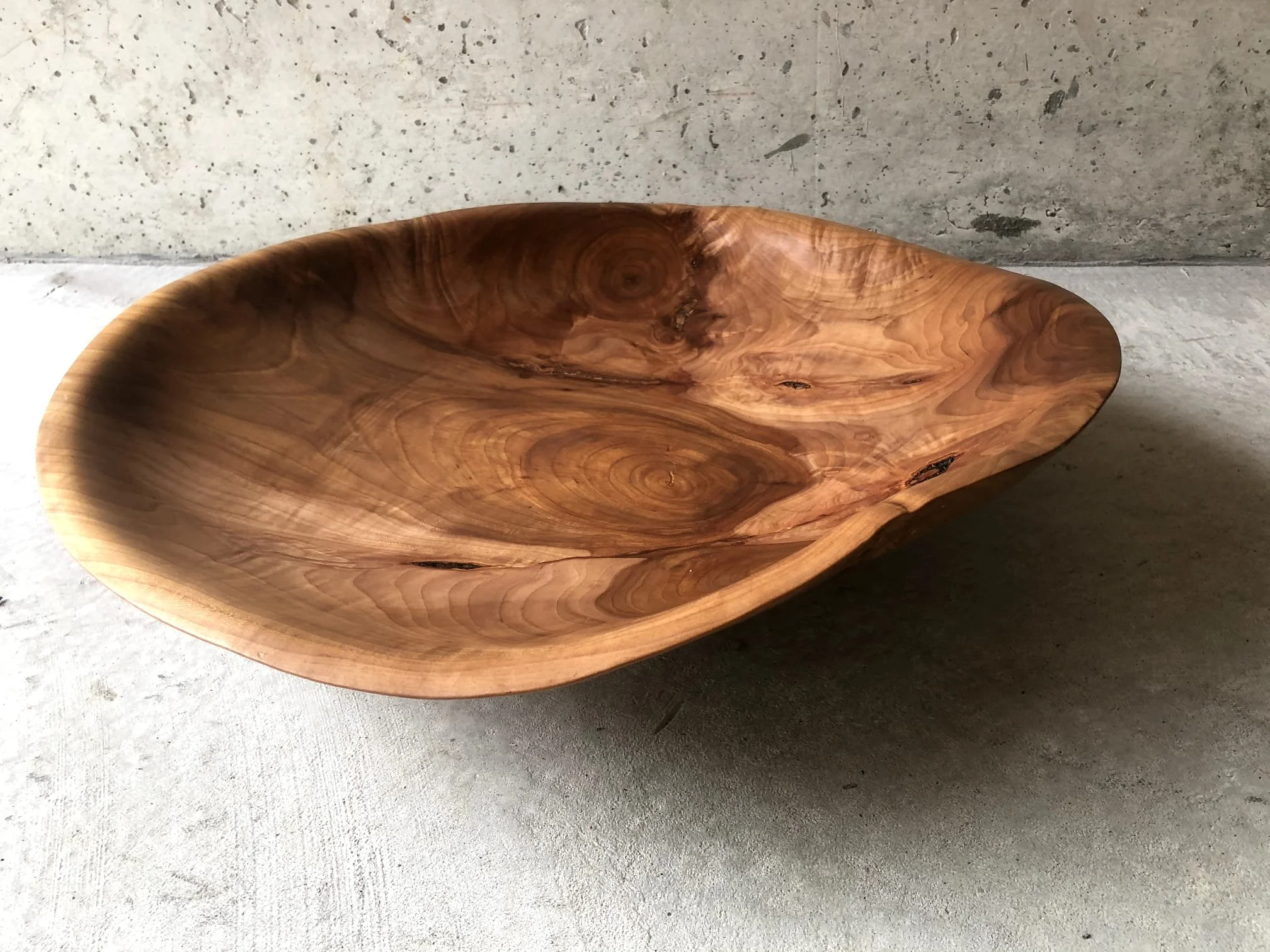 WhatsApp Image 2024-02-02 at 10.13.22.jpeg