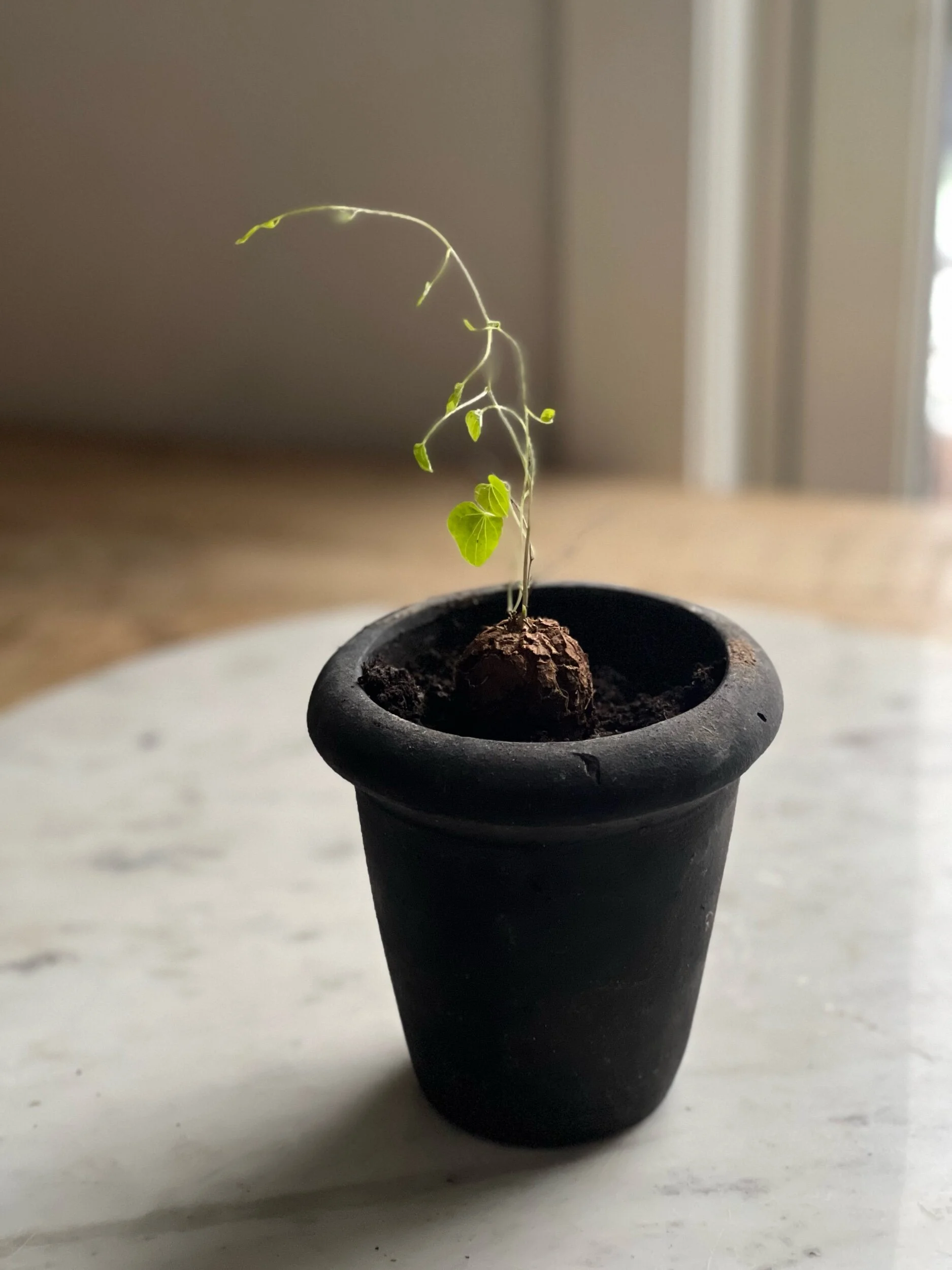 3F5093B6-A1BF-4E1F-826B-B5DC4BF8E60D