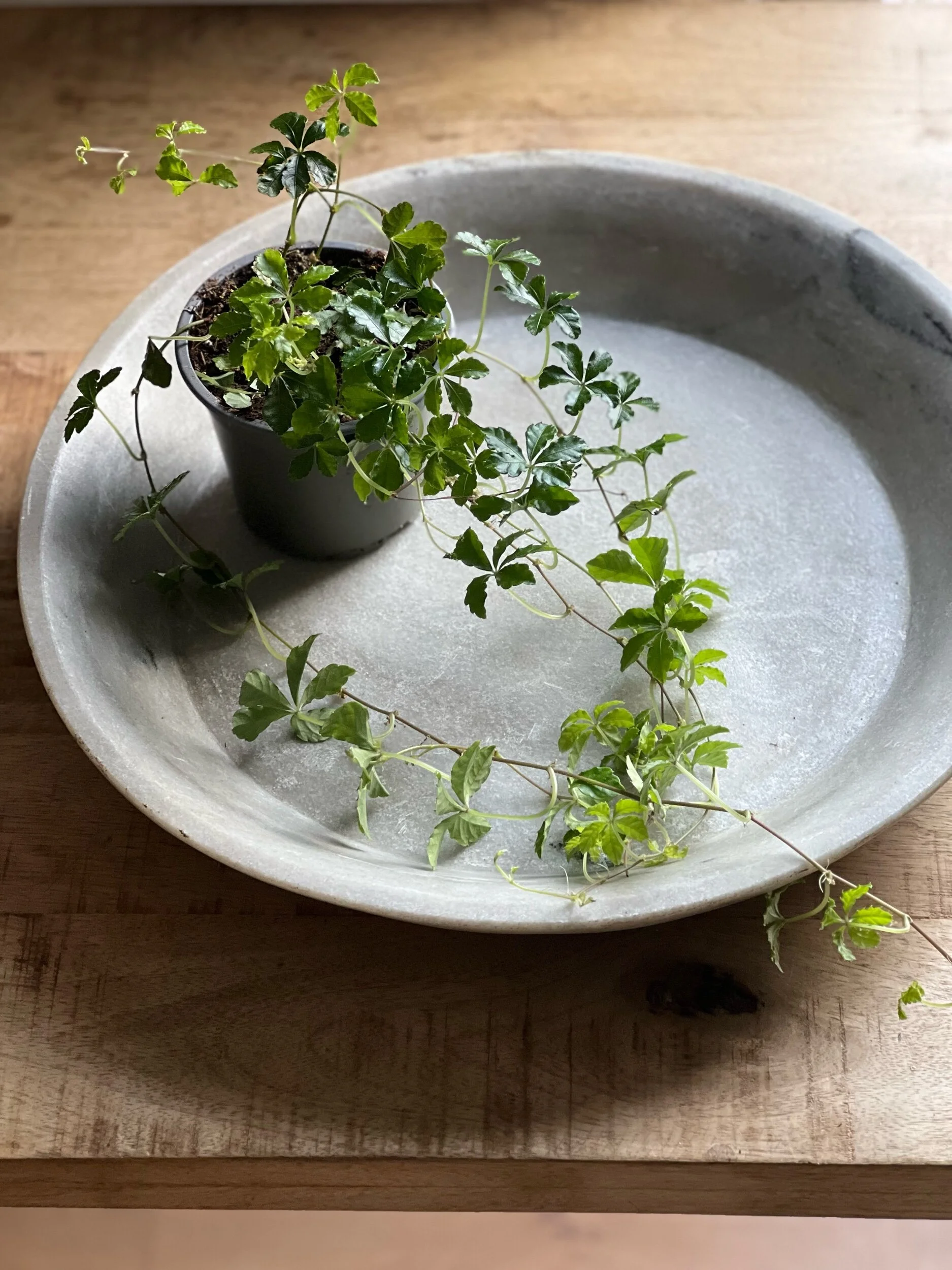 69DF054A-6BBC-4EF9-AB7D-2D8D3CDC8D00