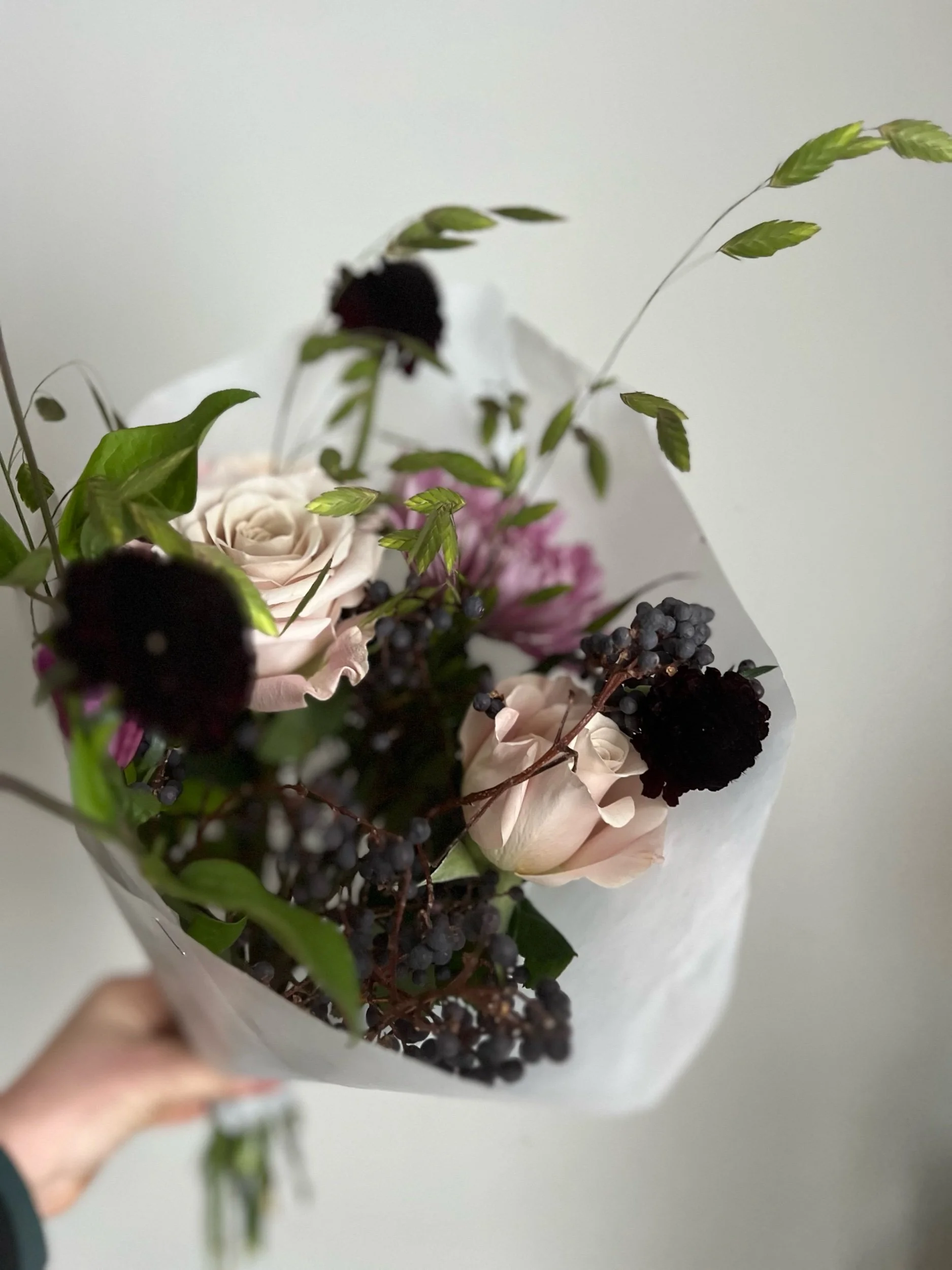 1274F3D7-A52A-47C8-B3DB-35BF98A8323E.jpeg