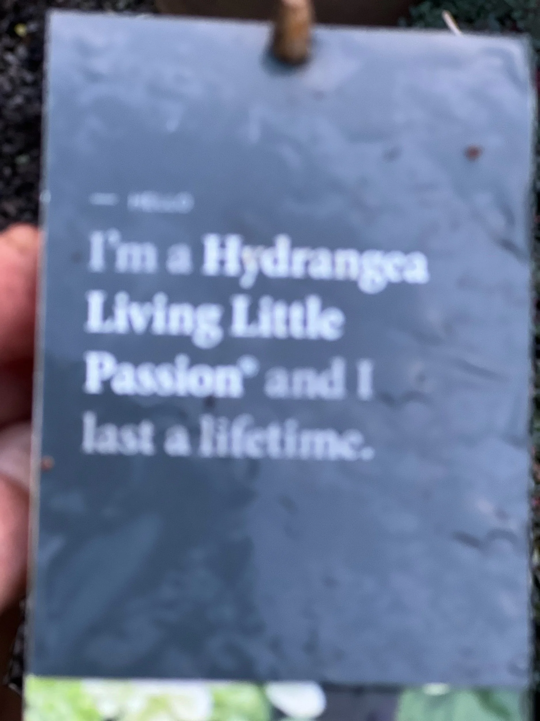 F683A482-877E-4E0F-B645-DF435B670625.jpeg