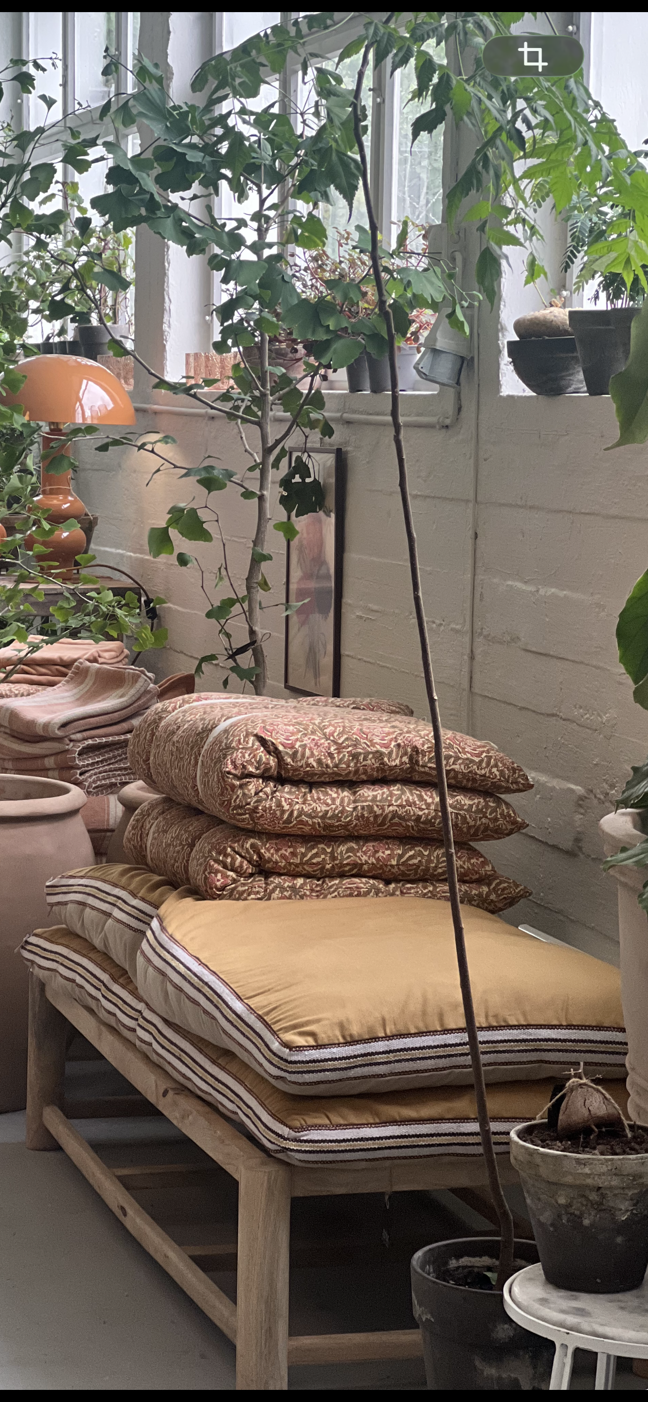 Madrass 60x140 mustard /beige