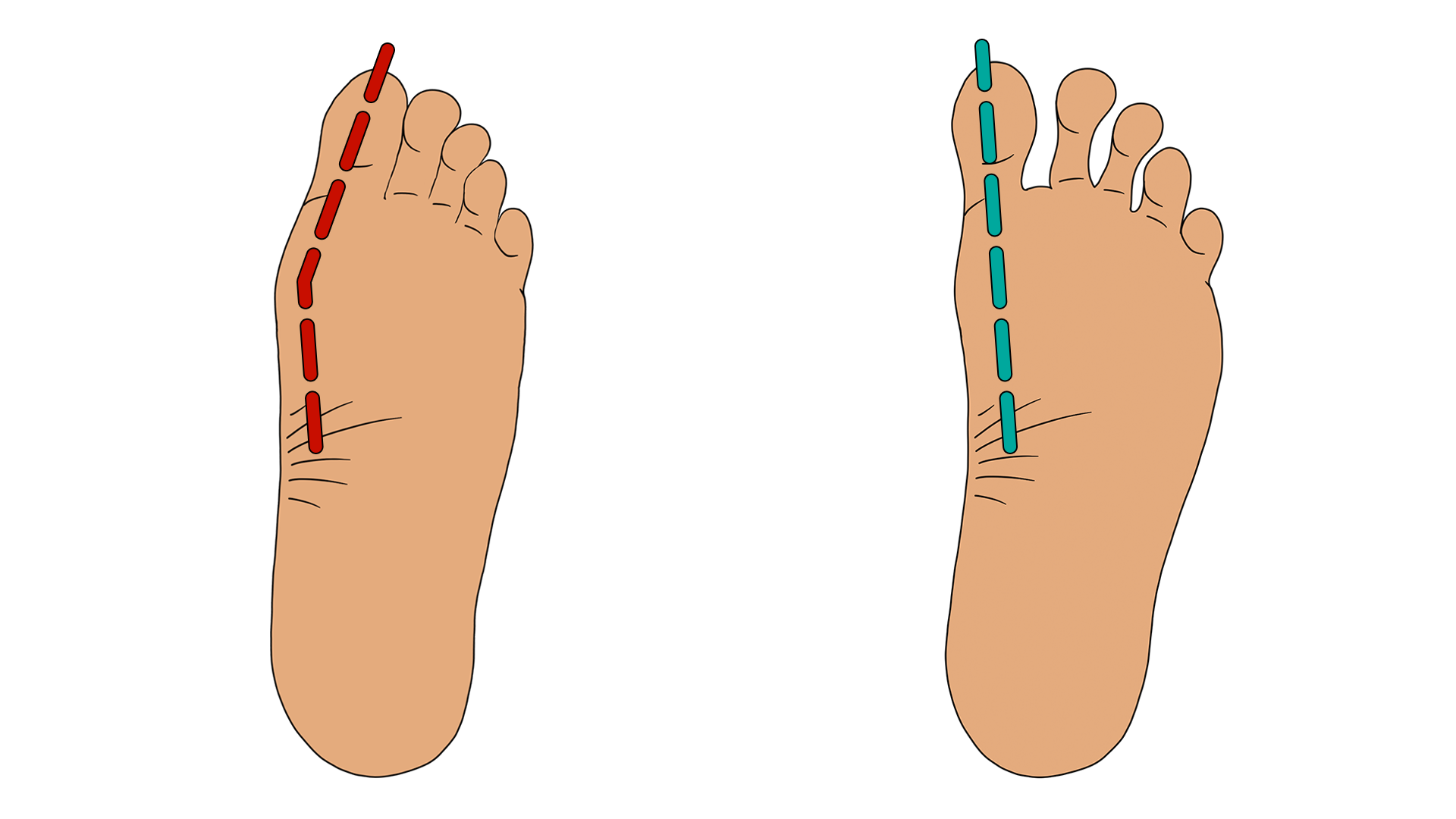 Barefoot Strength Shop Barefoot Strength