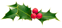 holly_Dec18_small.png