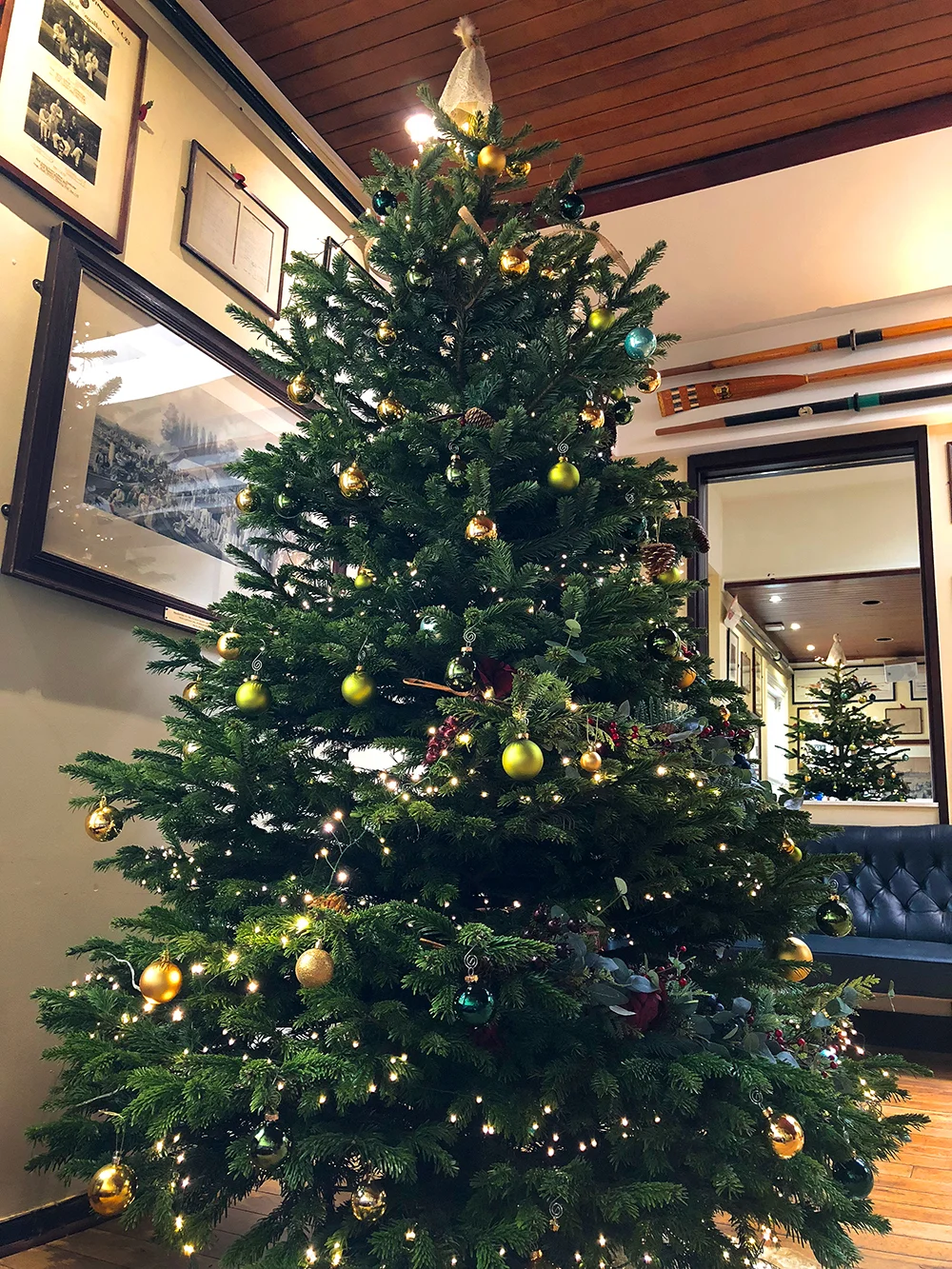 The London Rowing Club Christmas tree, 2018 on display in the Club’s Fairbairn Room. (Photo courtesy of Bob Silver)