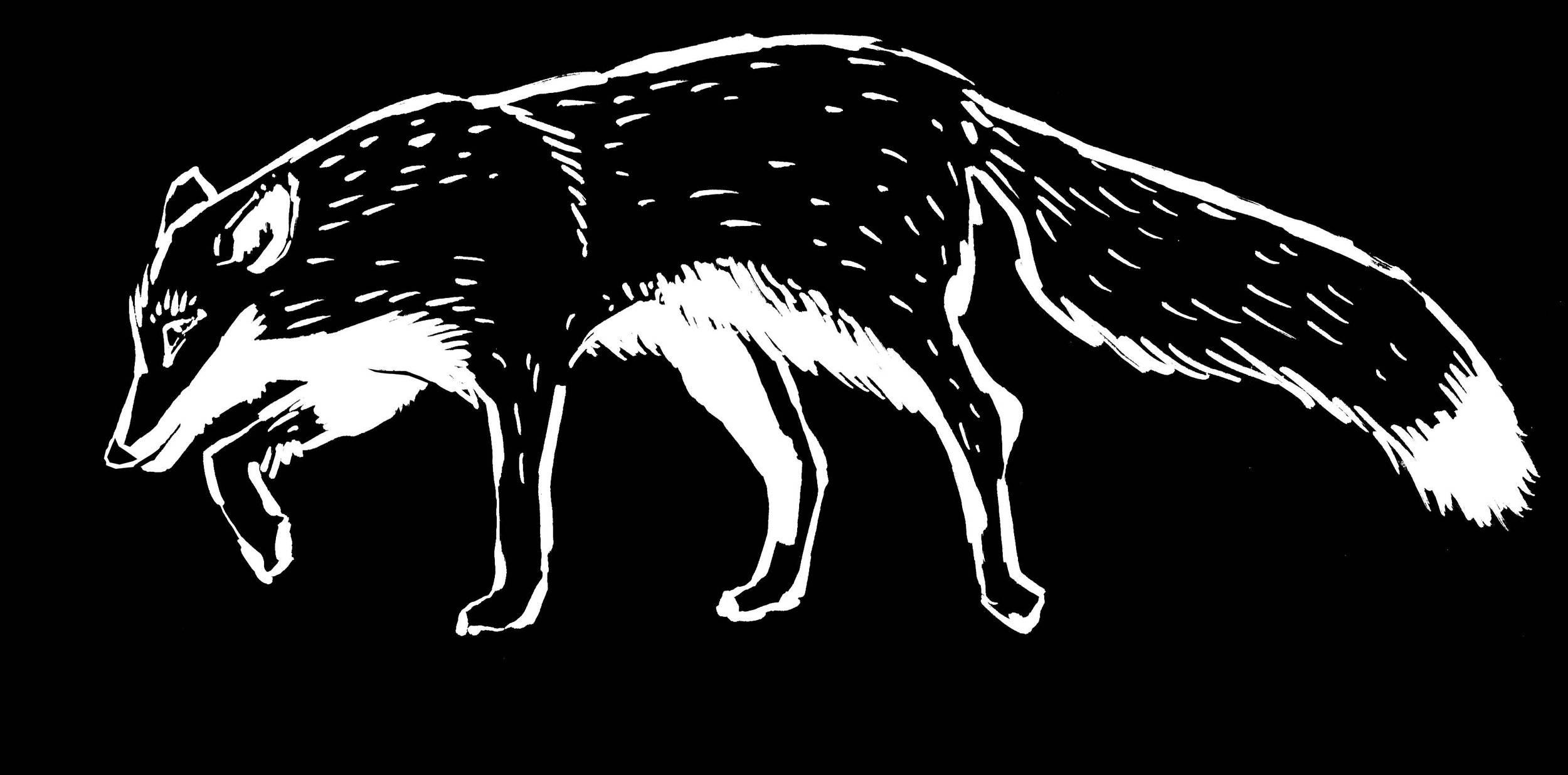 Fuchs.jpg
