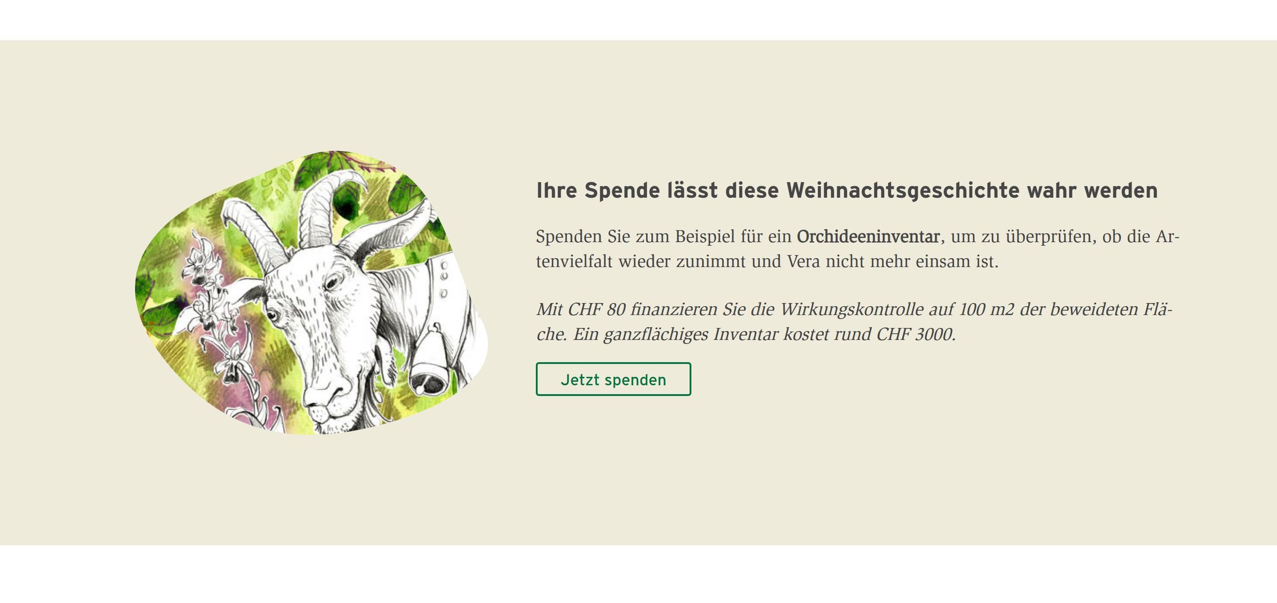Webseite 2.JPG
