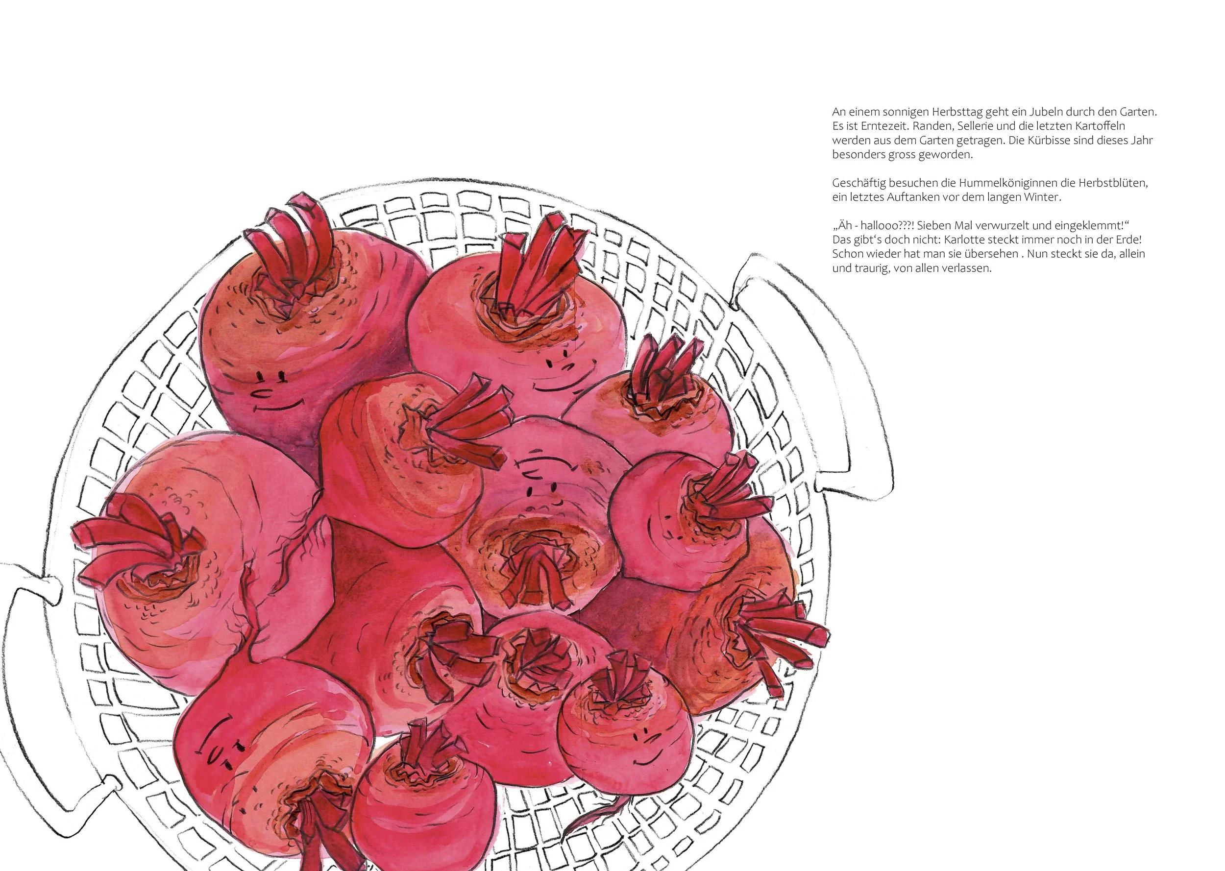 Seiten 15 & 16 Randenernte.jpg
