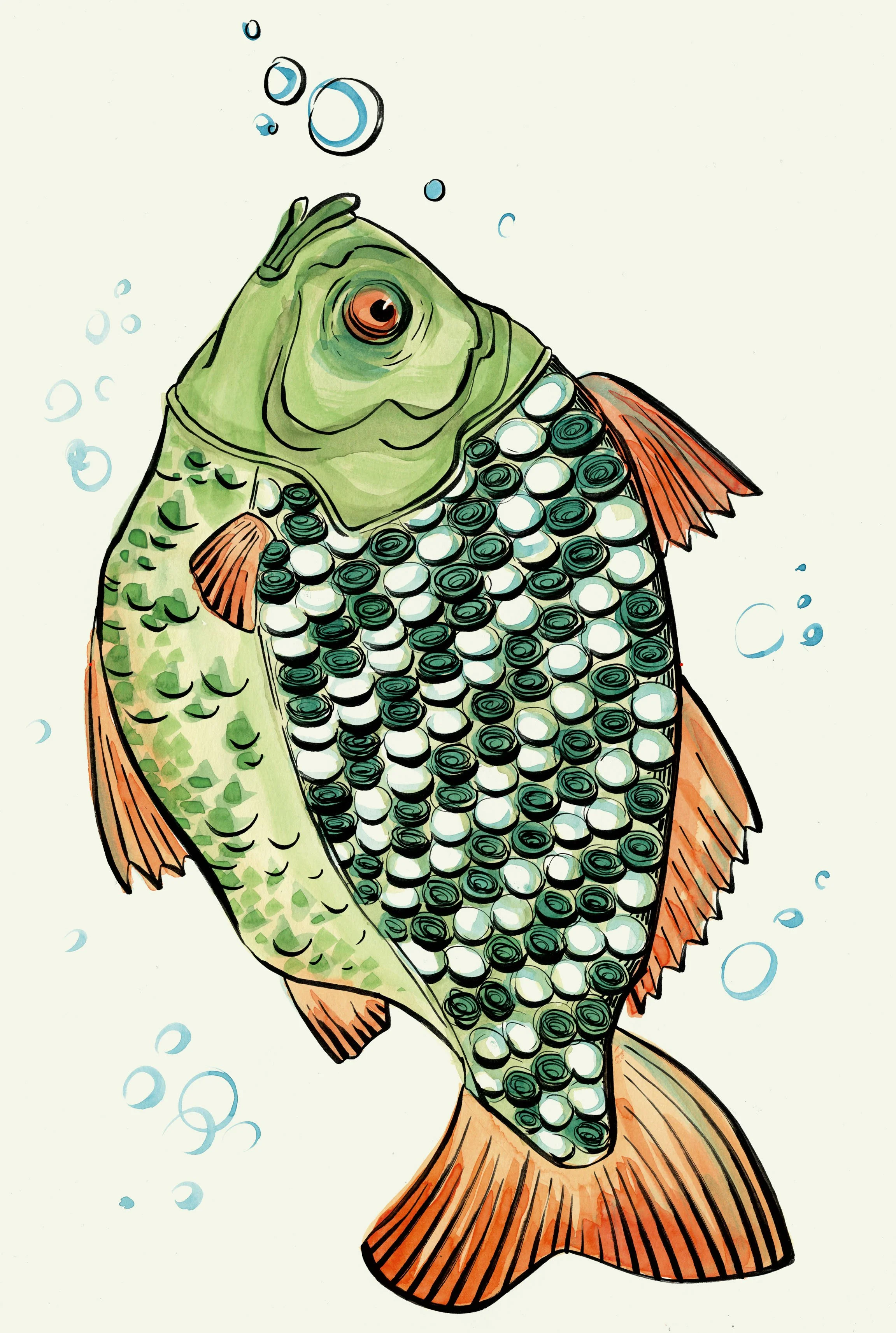 Fisch farbig RGB.jpg