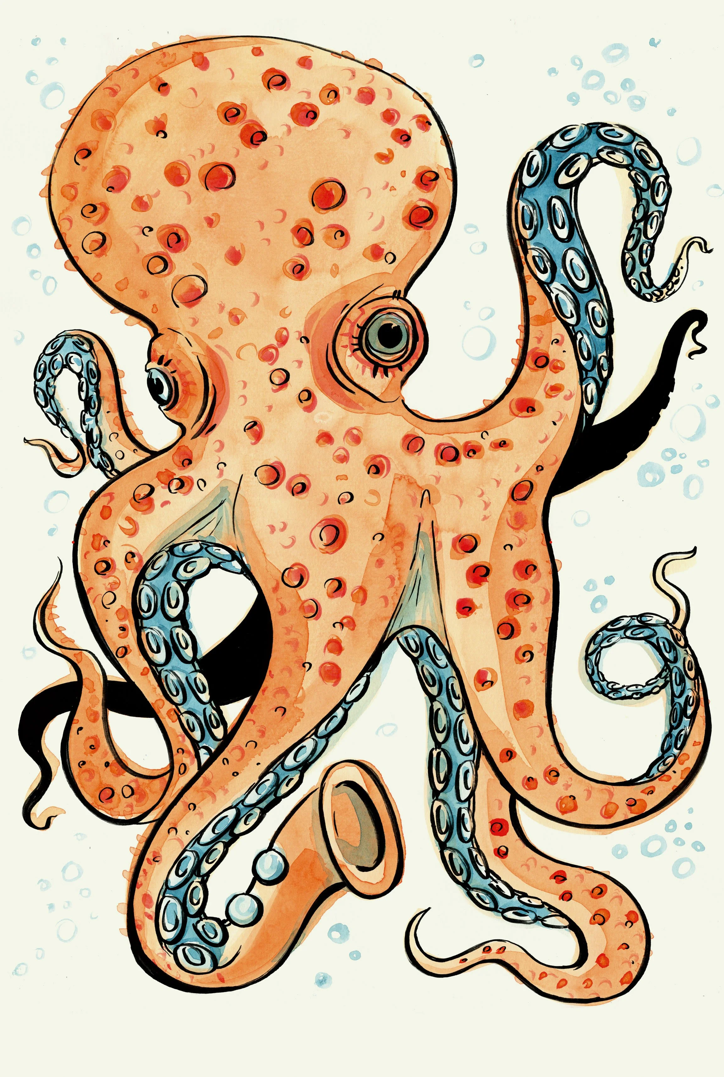 Oktopus farbig RGB.jpg