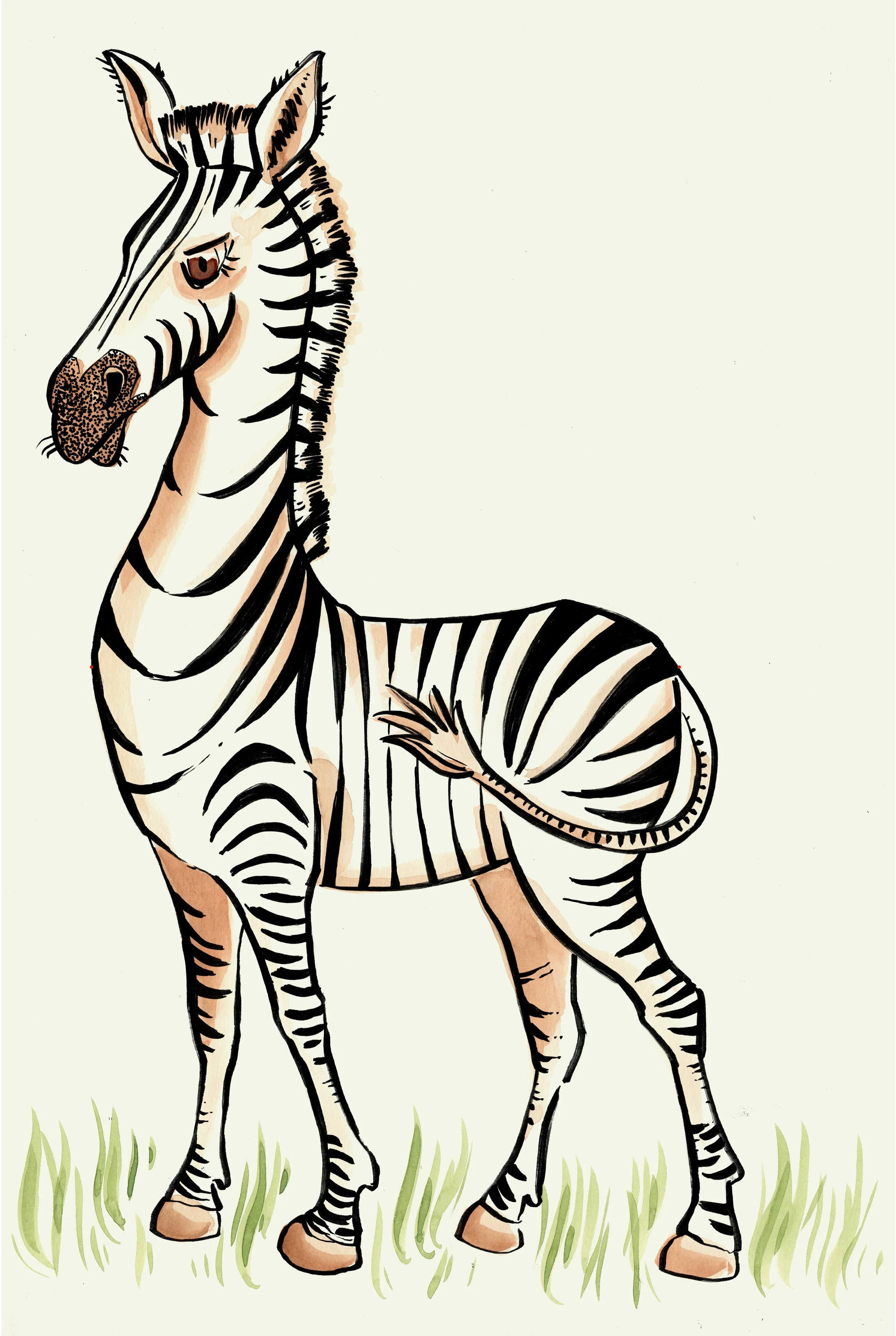 Zebra farbig RGB.jpg