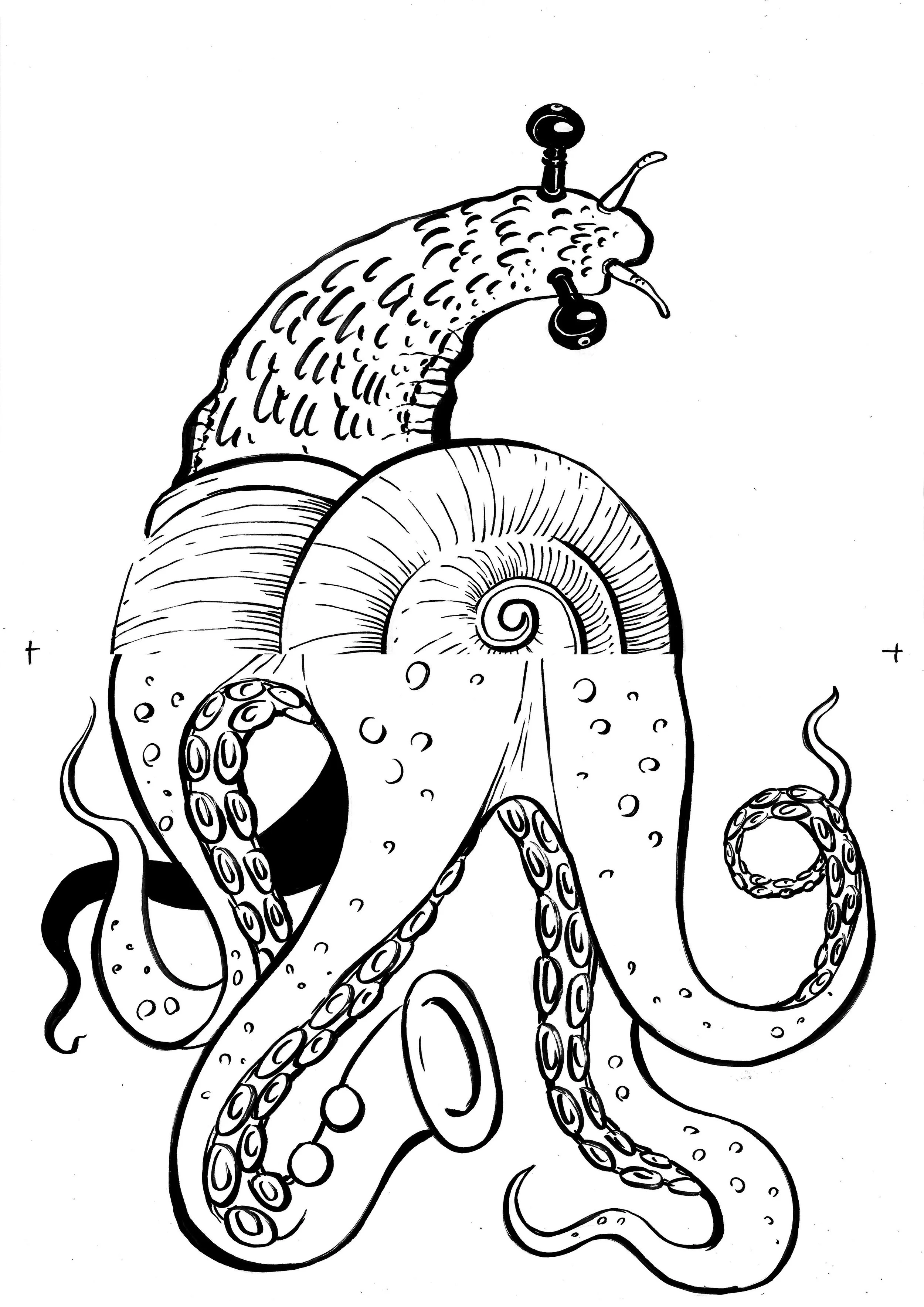 Schnecke Oktopus.jpg