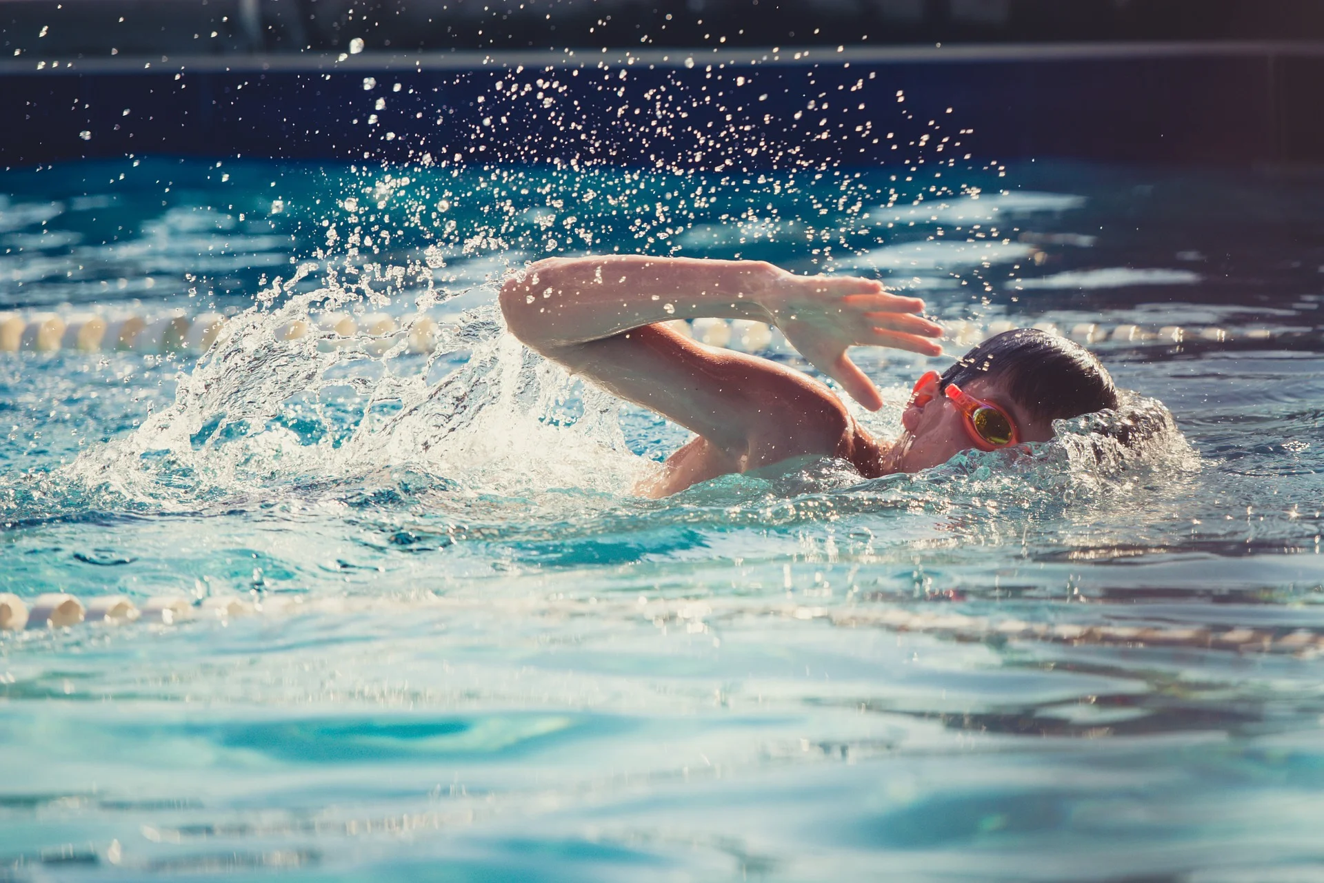 swimming-821622_1920.jpg
