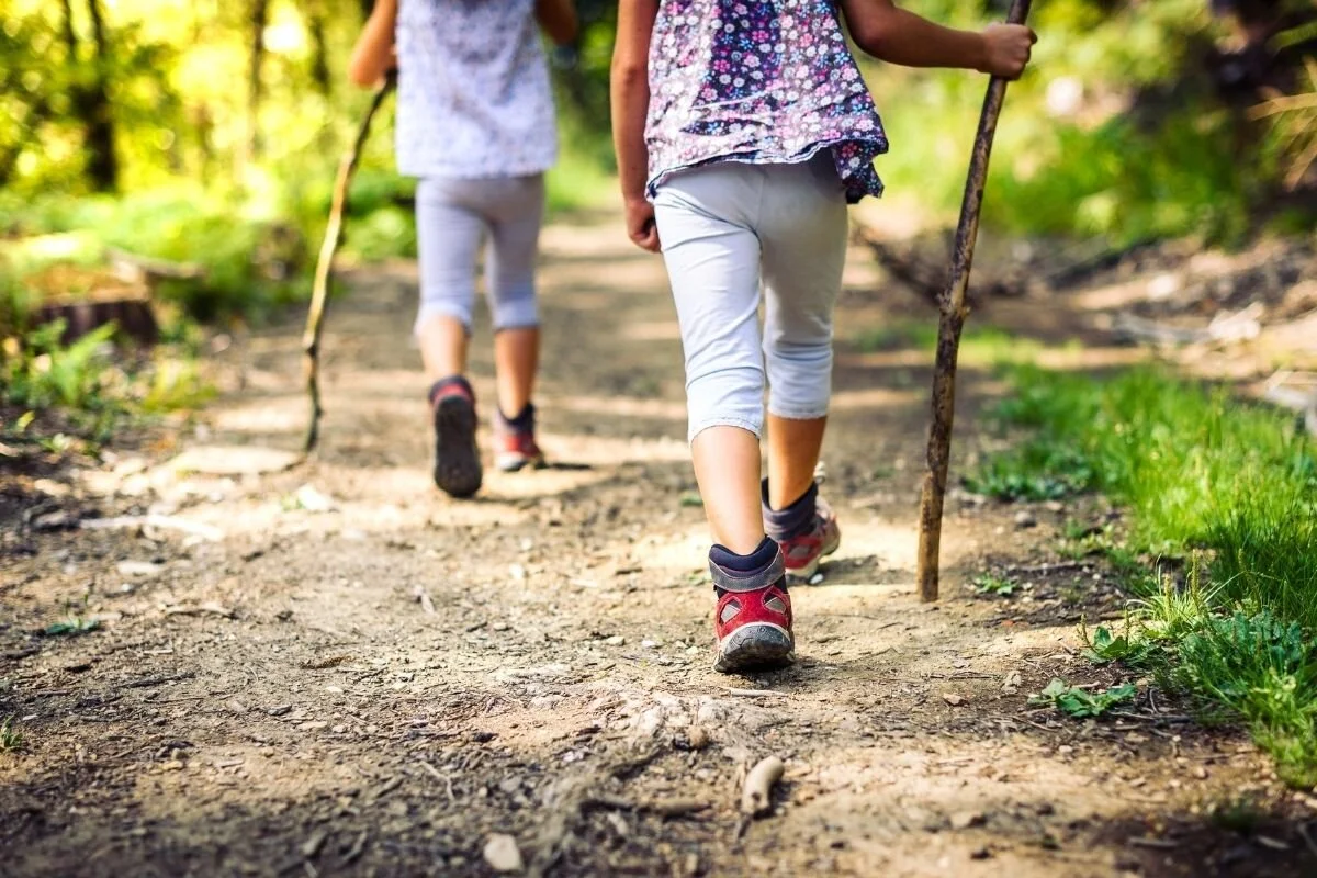 Kids walking in the woods