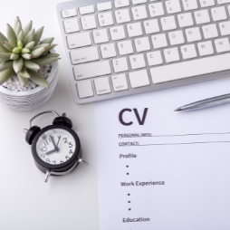 How to Write a Professional CV