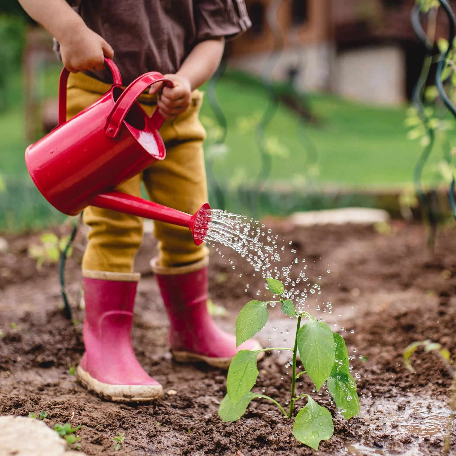 Teaching Children the Joys of Gardening