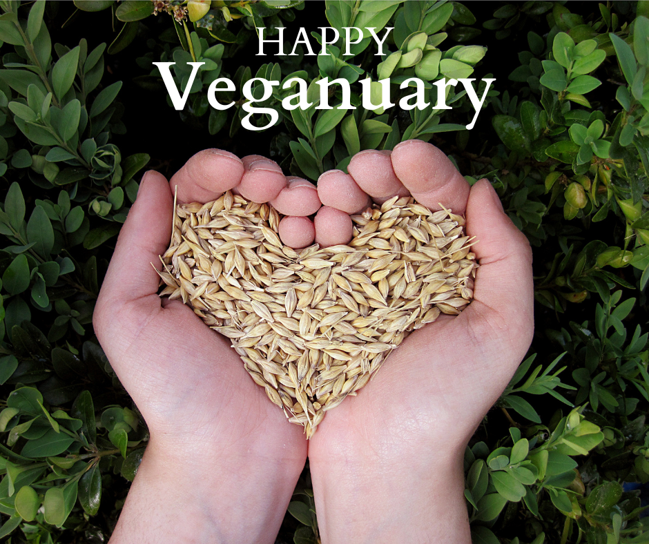 5 Vegan-Friendly Recipes for You to Try This Veganuary