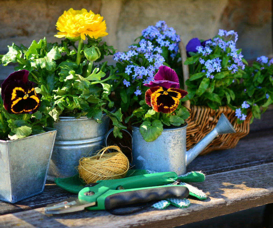 How to Prepare for Your Upcoming Gardener Job Interview