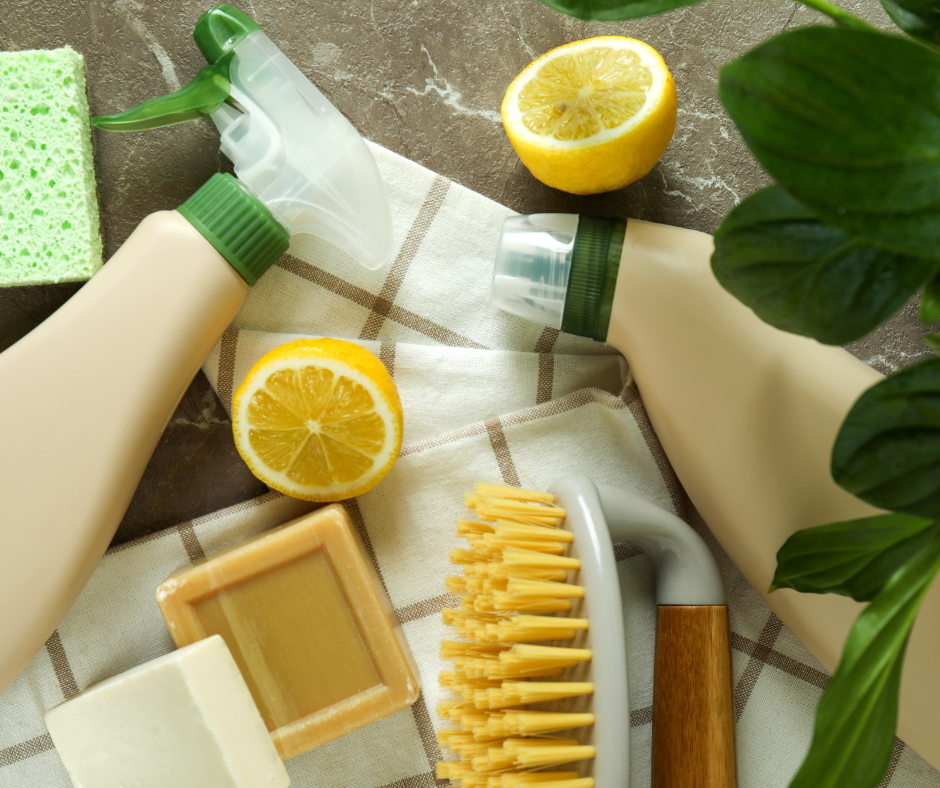 A Housekeeper's Guide to Eco-Friendly Practices in the UK